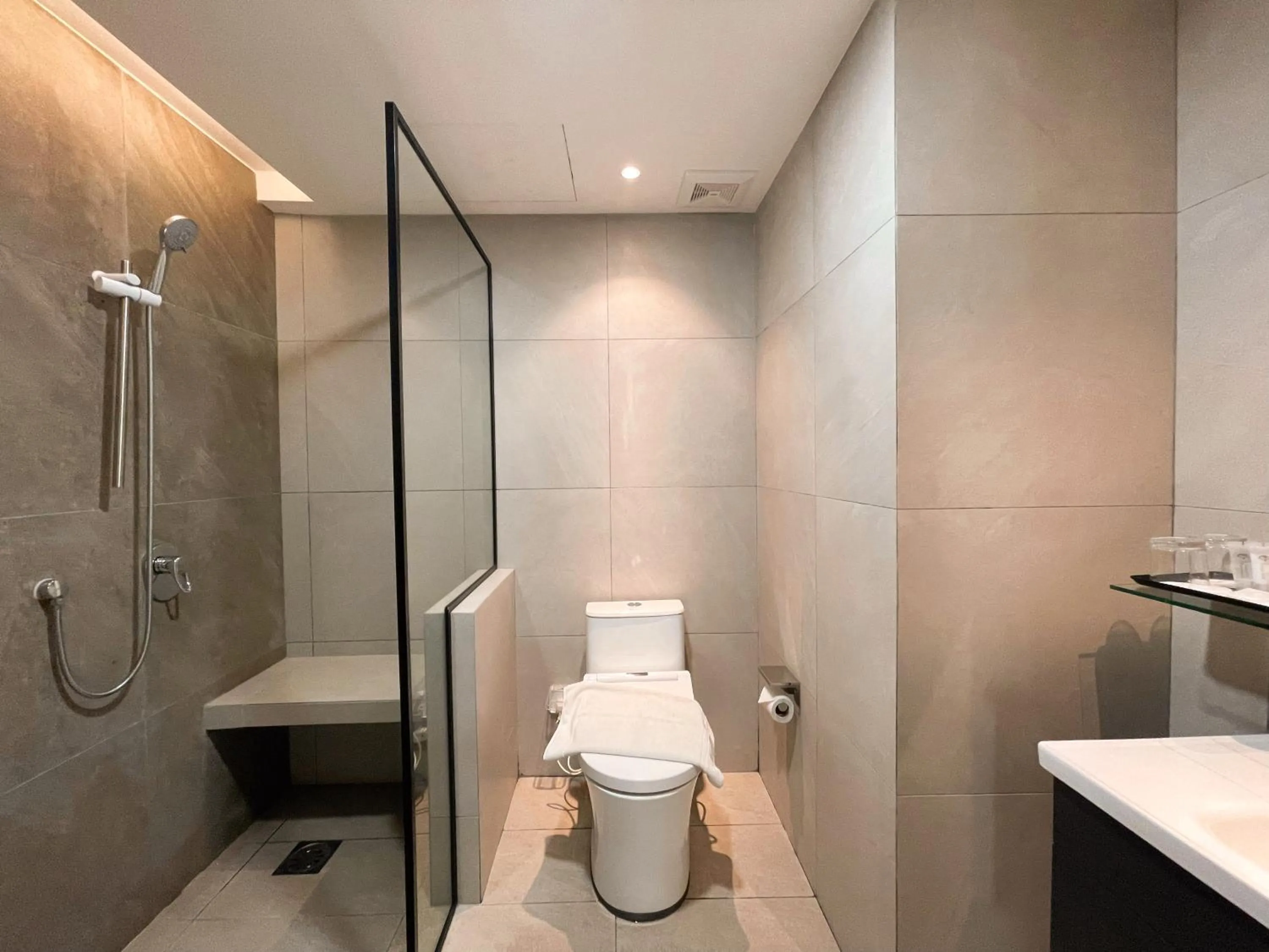 Toilet in The Avenue M