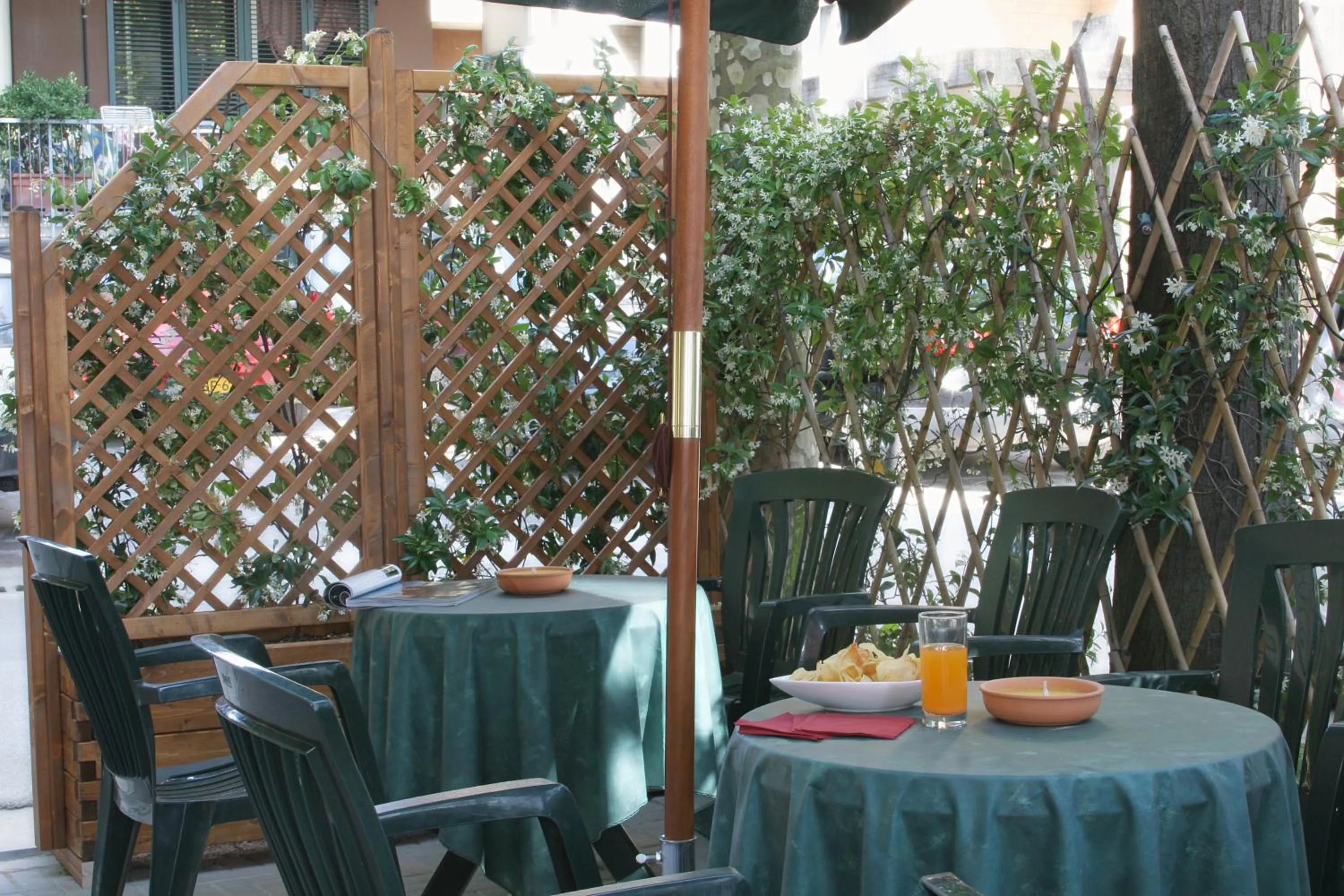 Garden in Hotel Villa Rossi