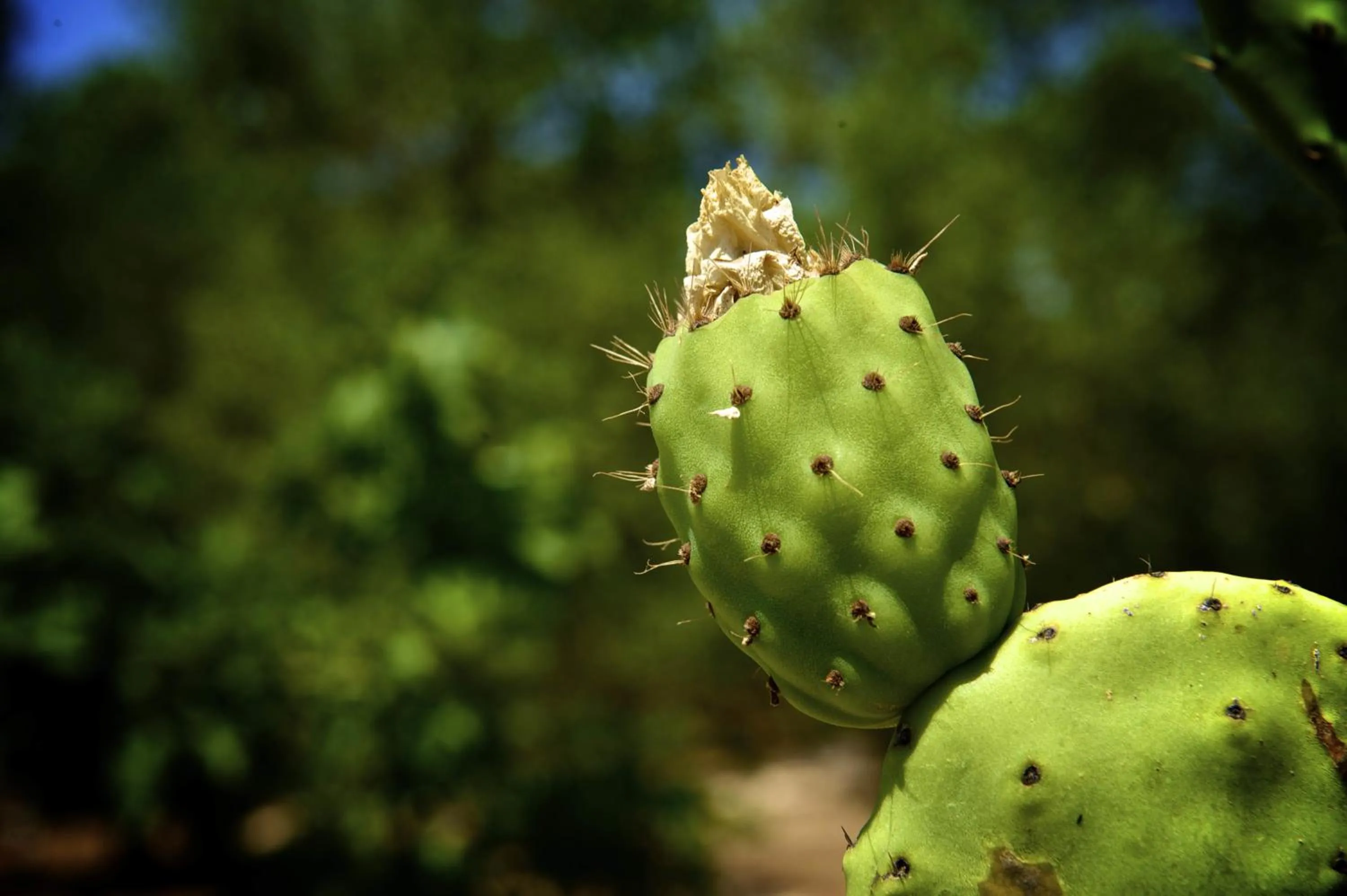 Facade/entrance in B&B NiloSira