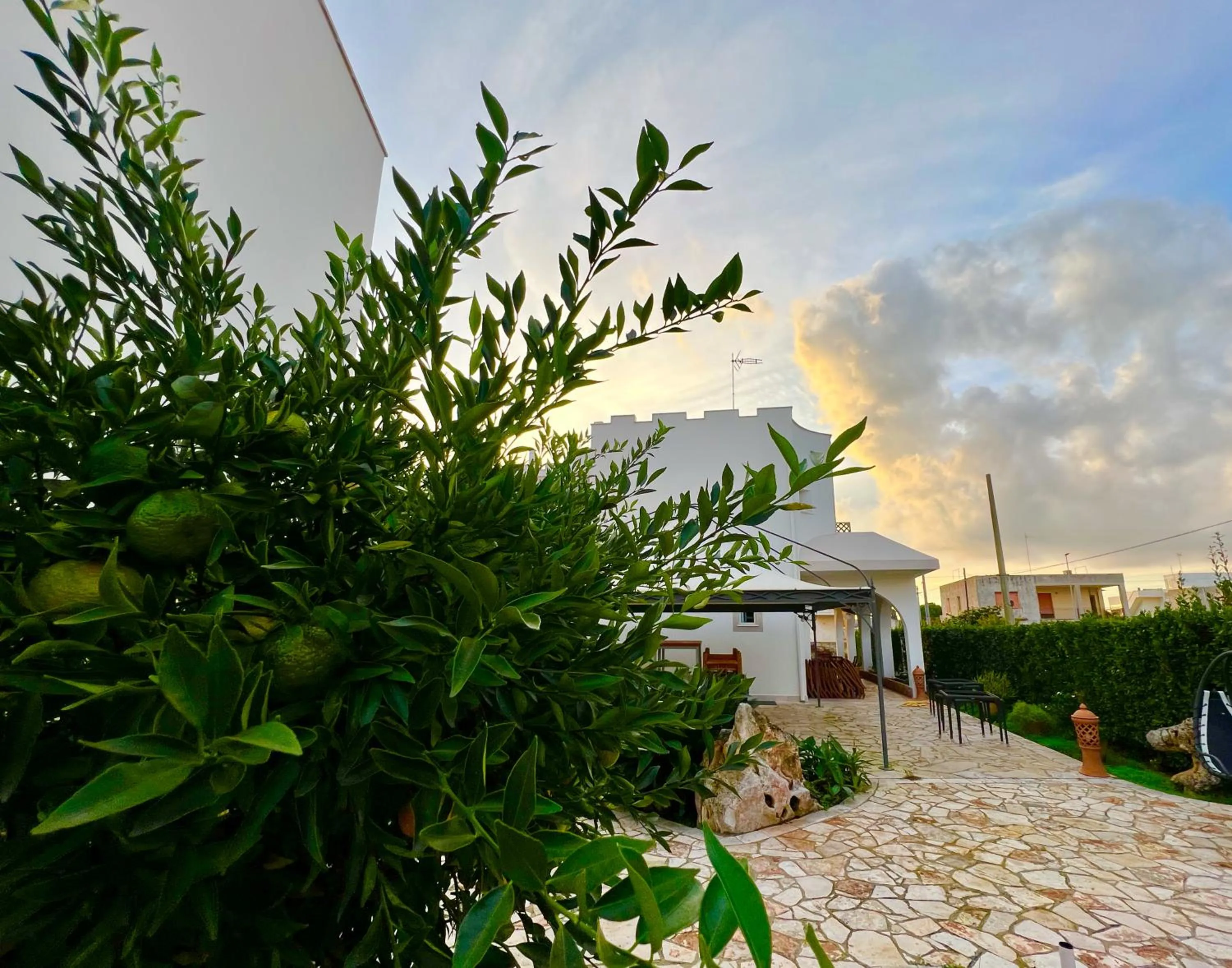 Garden in B&B NiloSira