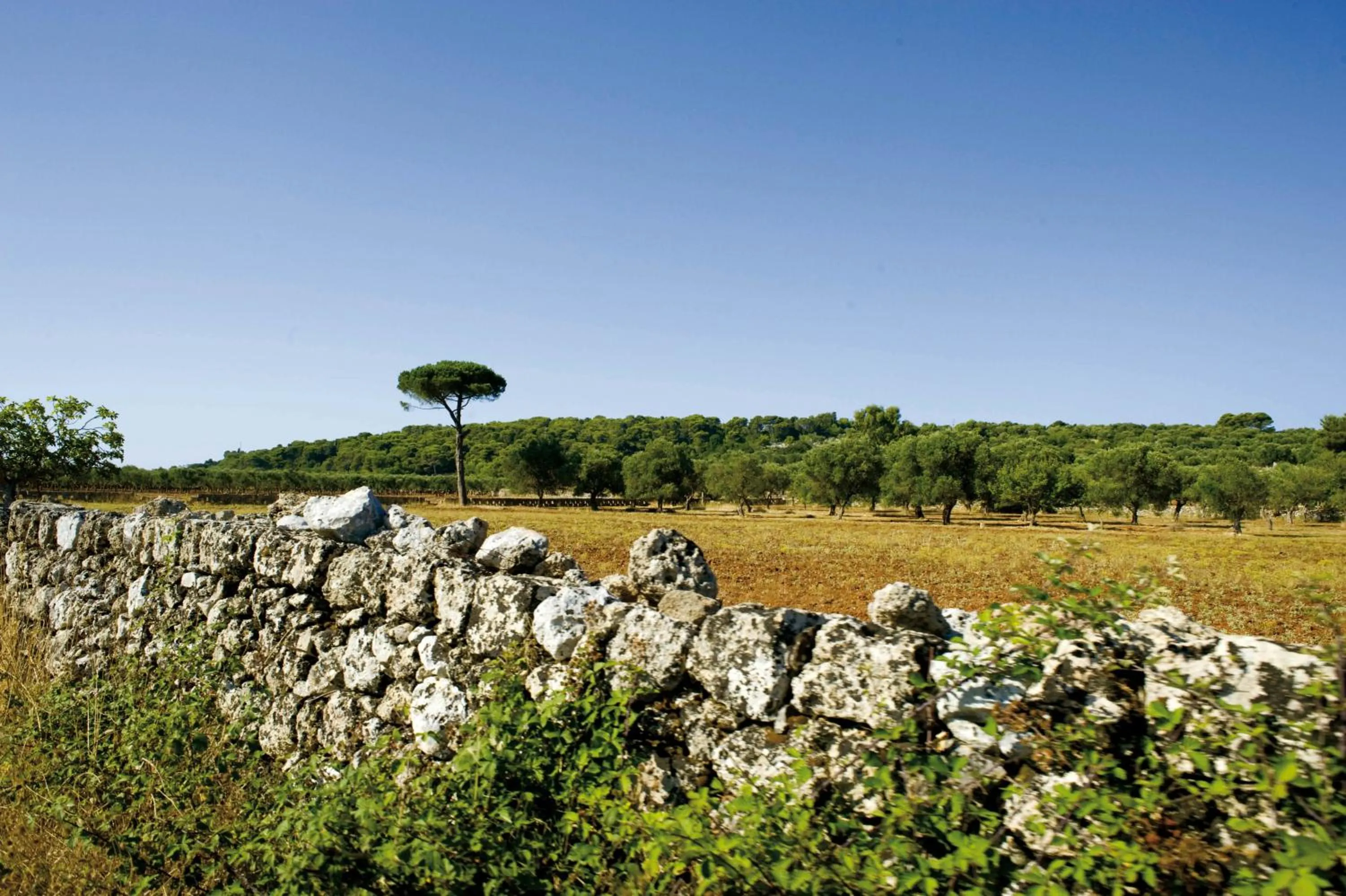 Cycling in B&B NiloSira