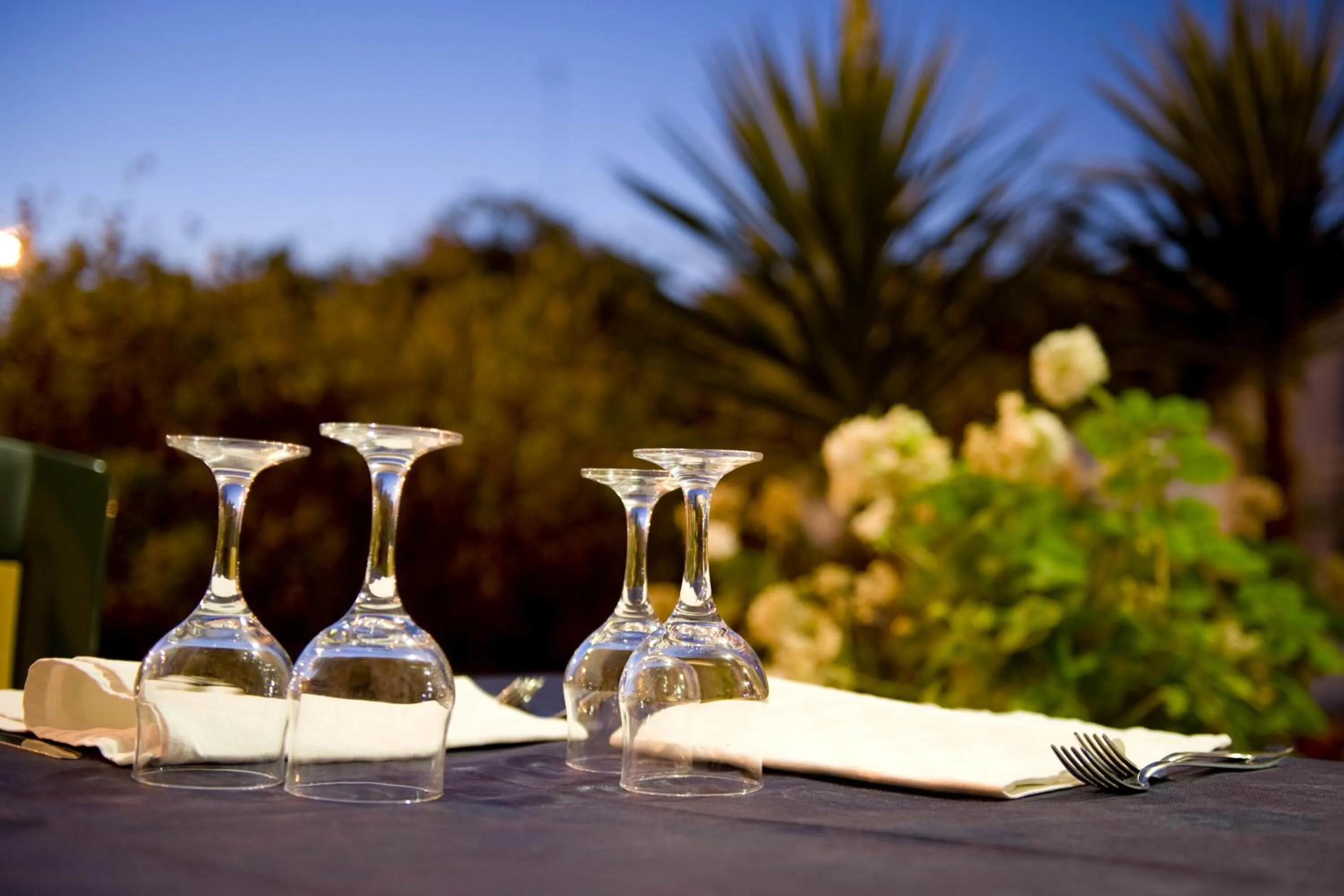 Restaurant/places to eat in B&B NiloSira