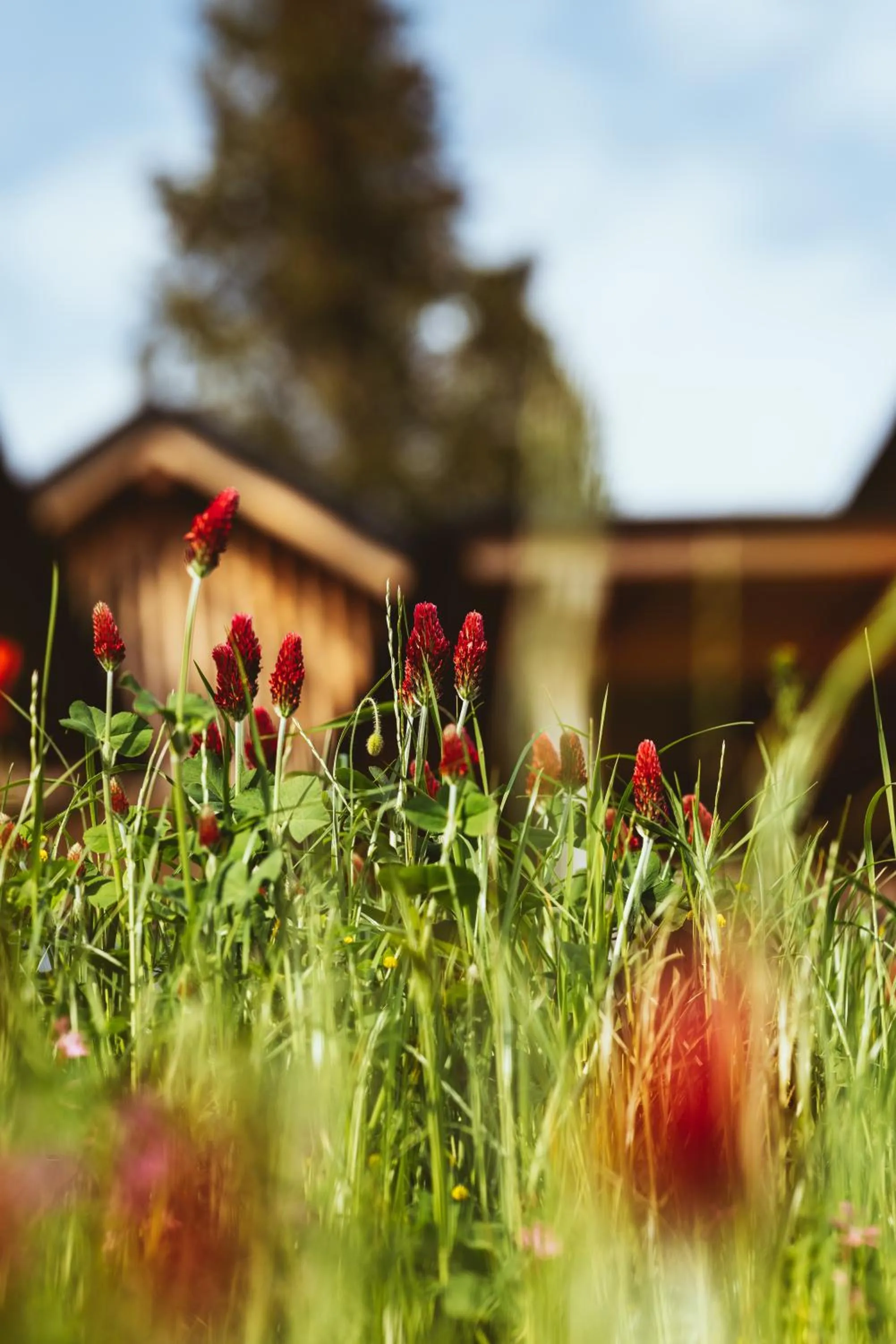 Property building in Hideaway Hotel Montestyria Chalets & Suiten