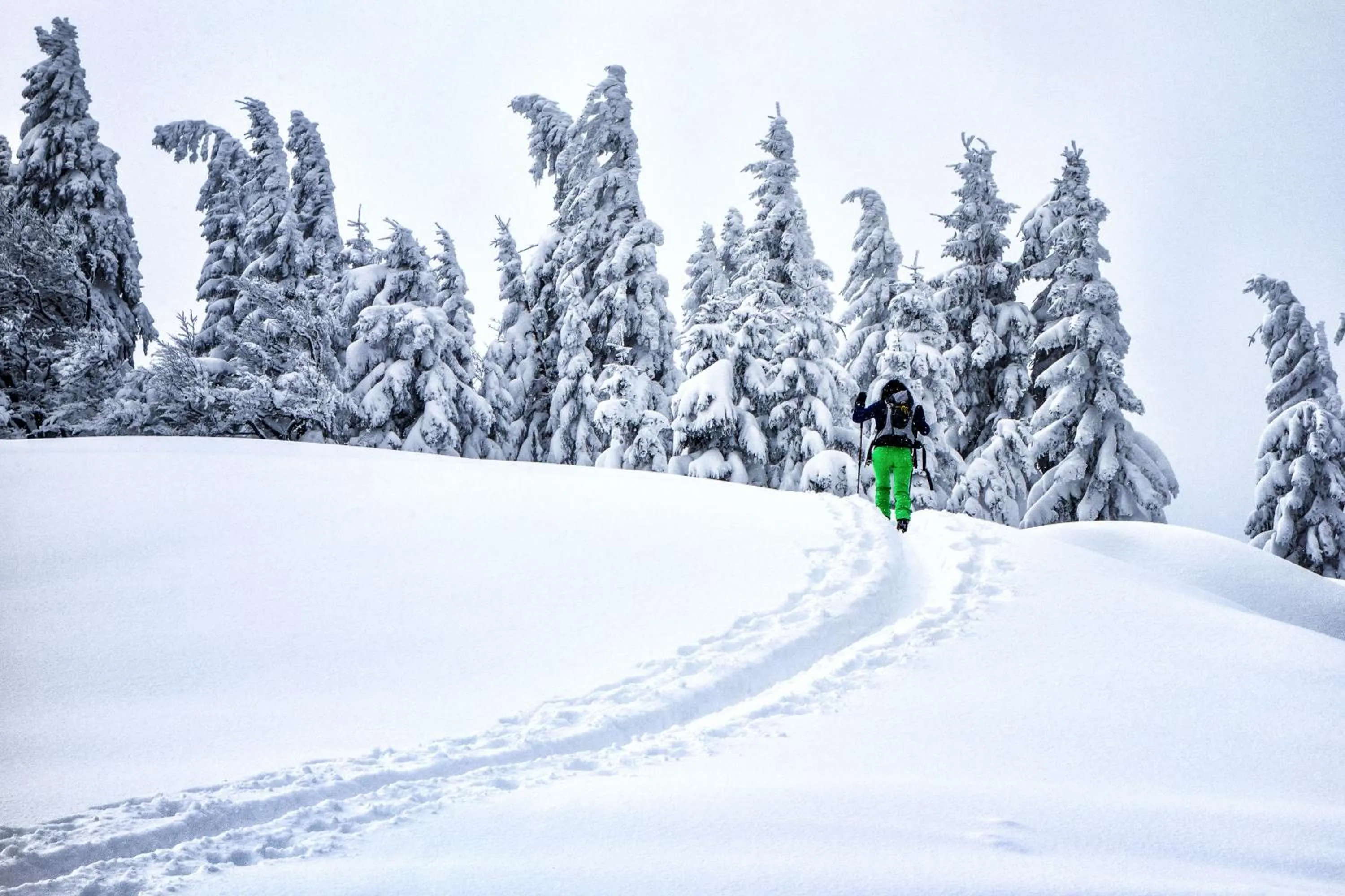 Skiing in Hideaway Hotel Montestyria Chalets & Suiten