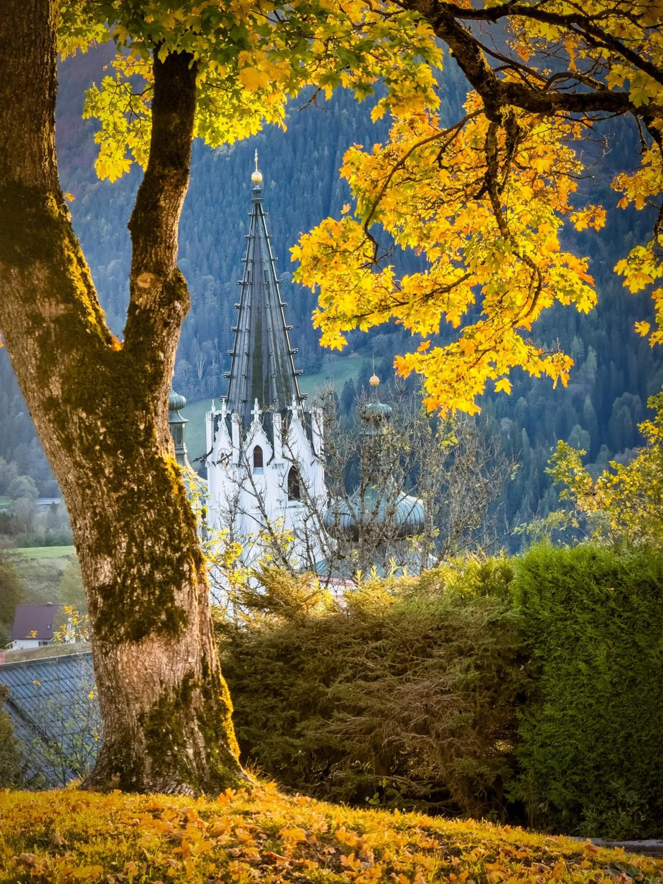 View (from property/room) in Hideaway Hotel Montestyria Chalets & Suiten