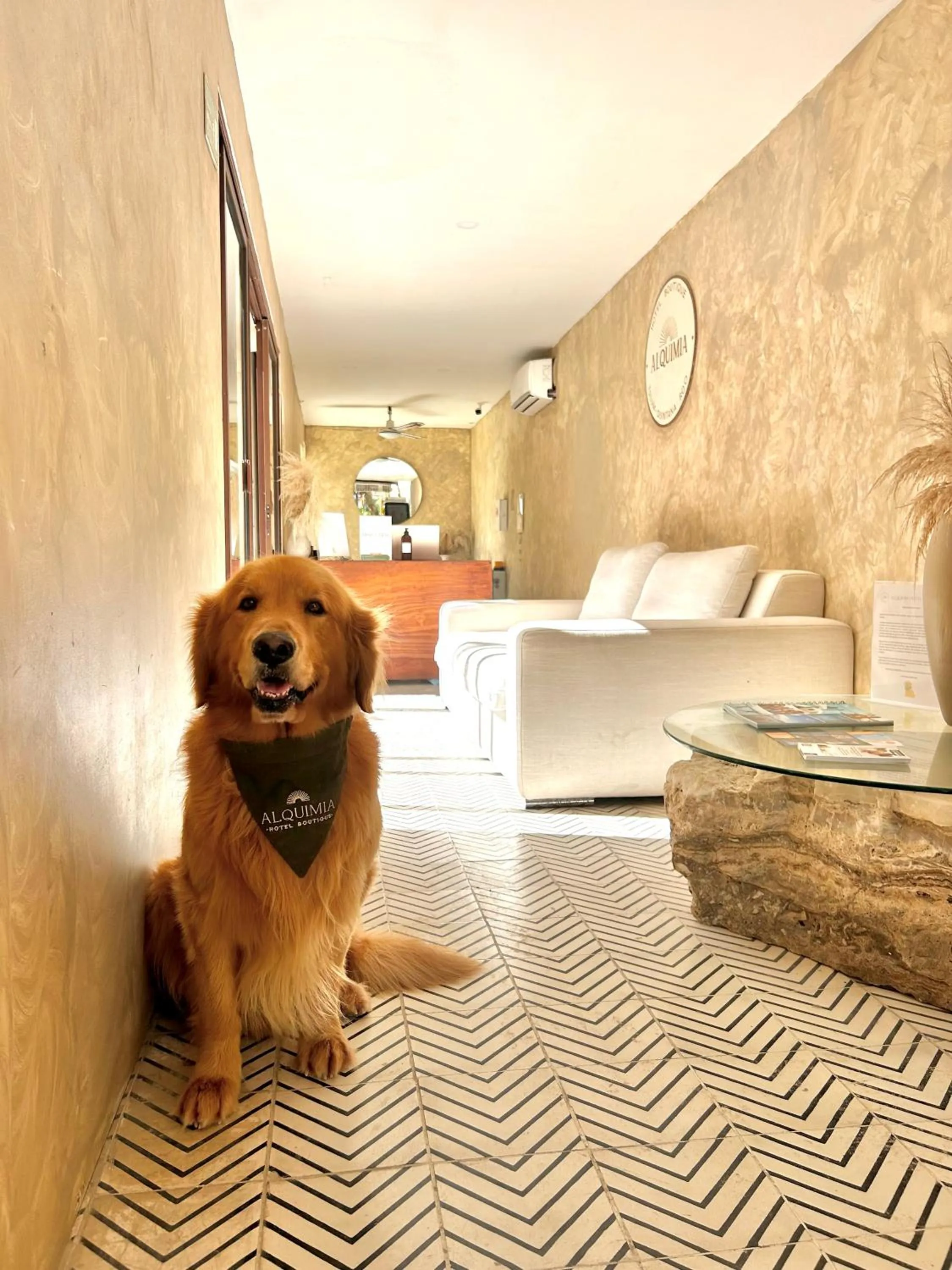 Lobby or reception in Alquimia Hotel Boutique