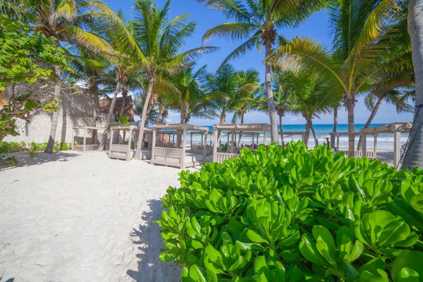 Beach in Alquimia Hotel Boutique