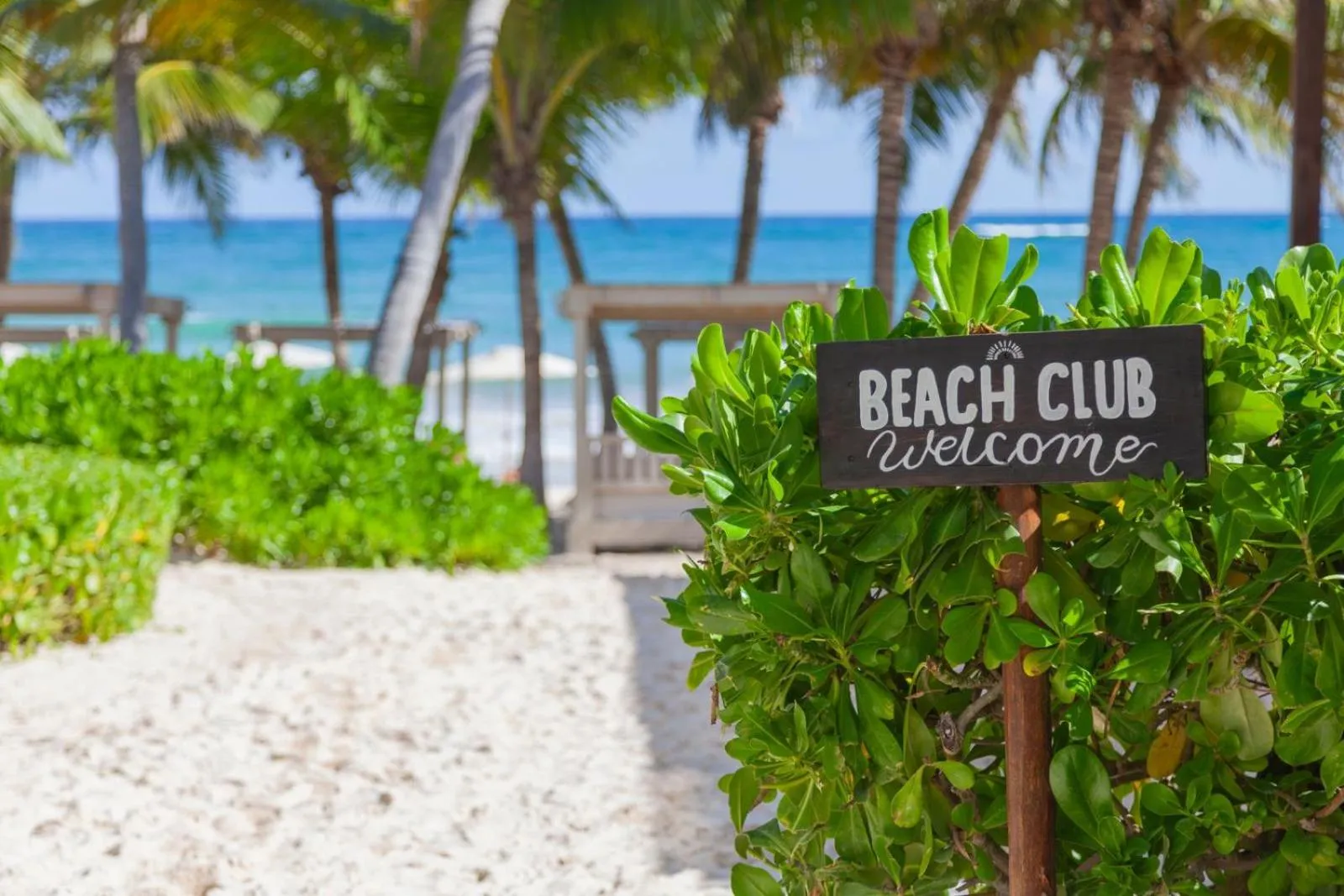 Beach in Alquimia Hotel Boutique