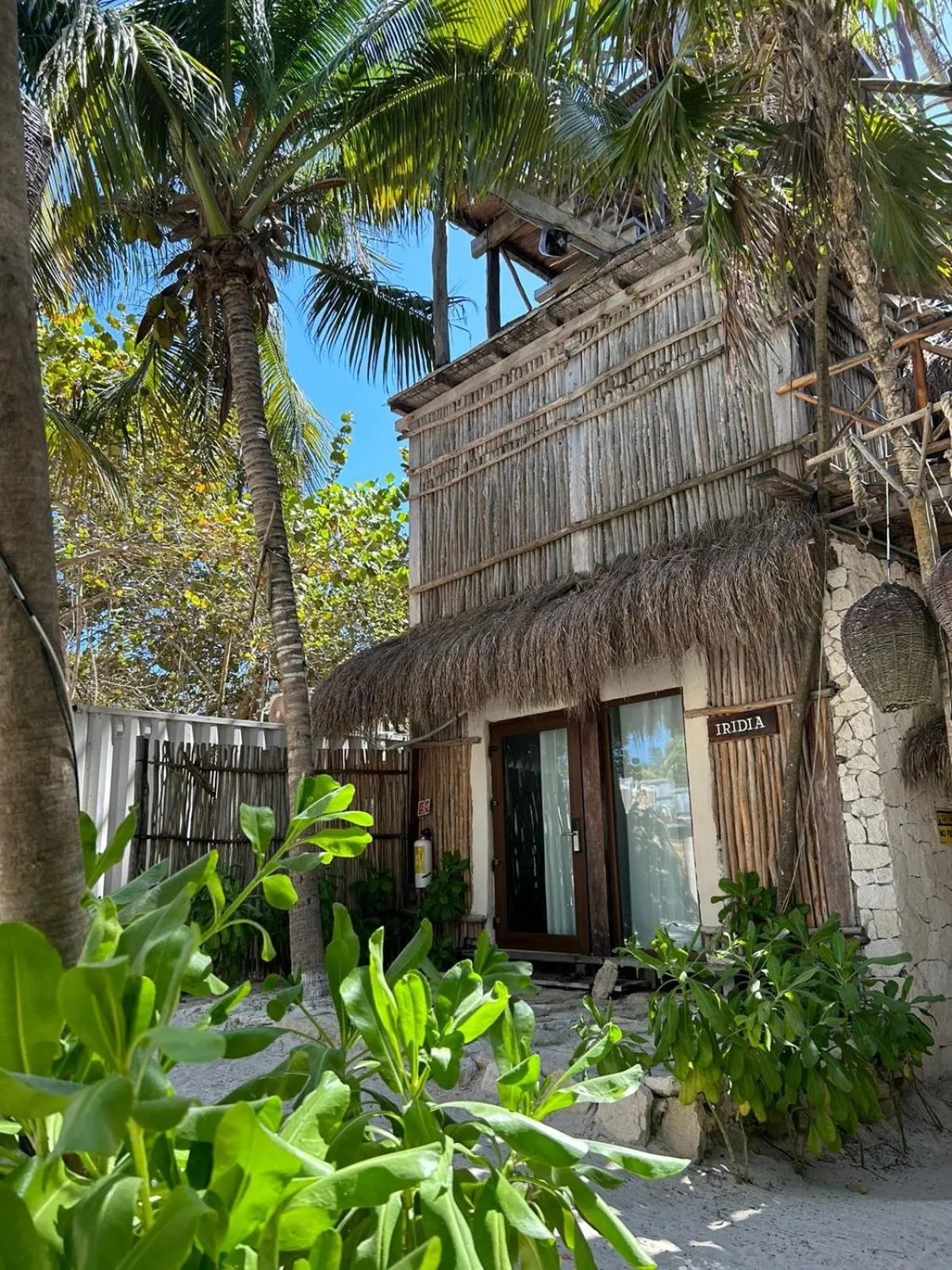 Garden view in Alquimia Hotel Boutique