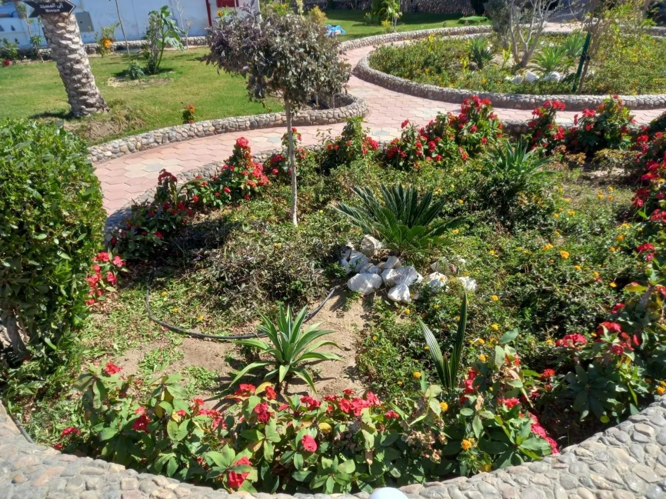 Garden in Dolphin Continental Hotel