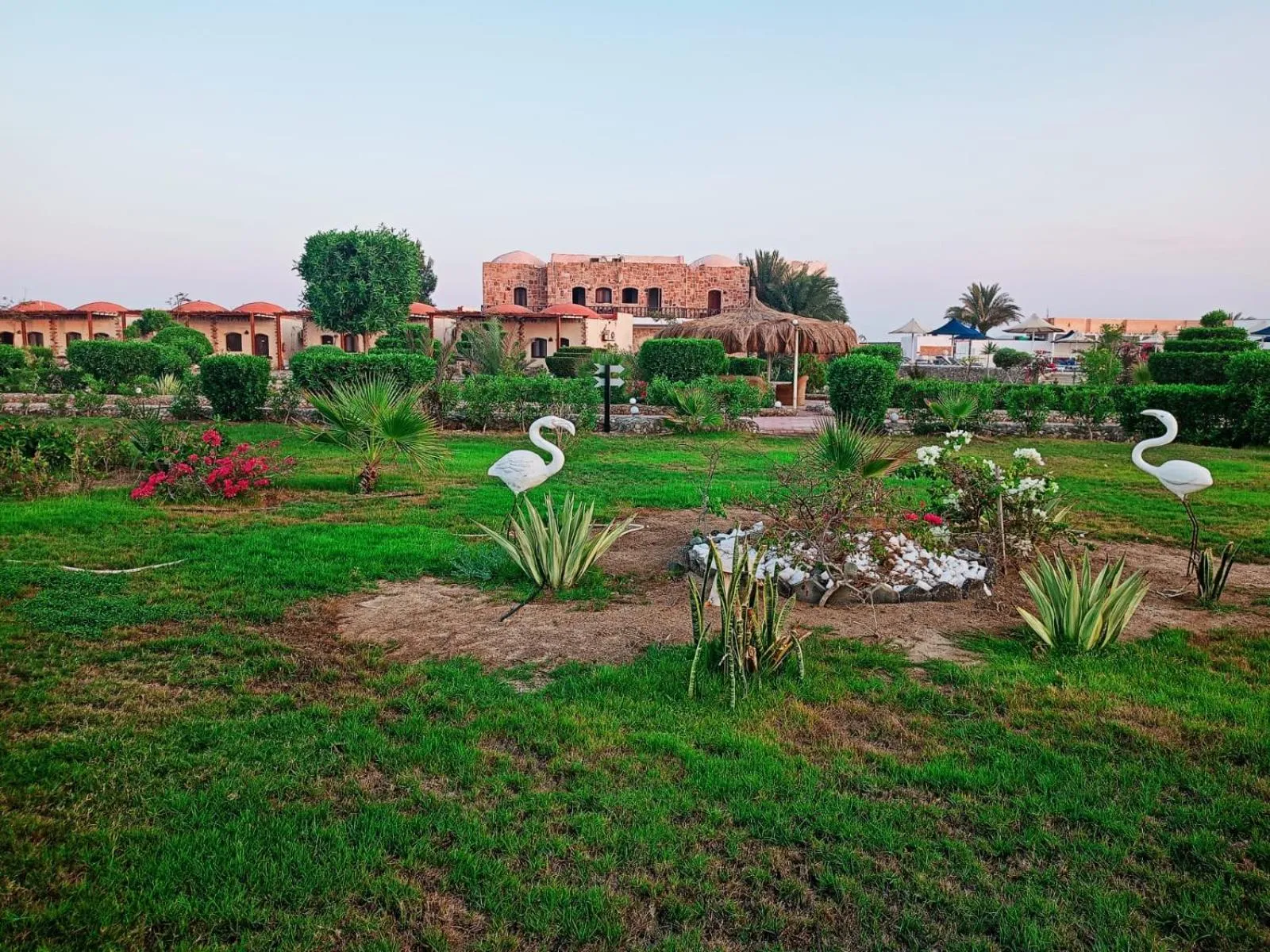 Natural landscape in Dolphin Continental Hotel