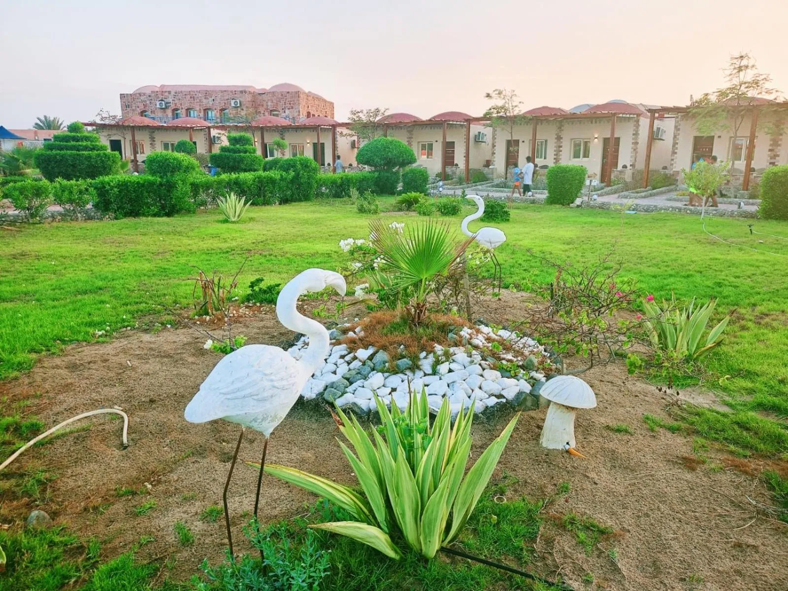 Garden in Dolphin Continental Hotel