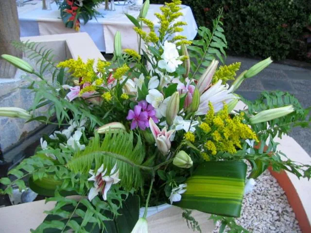 Other in Villa del Sueño