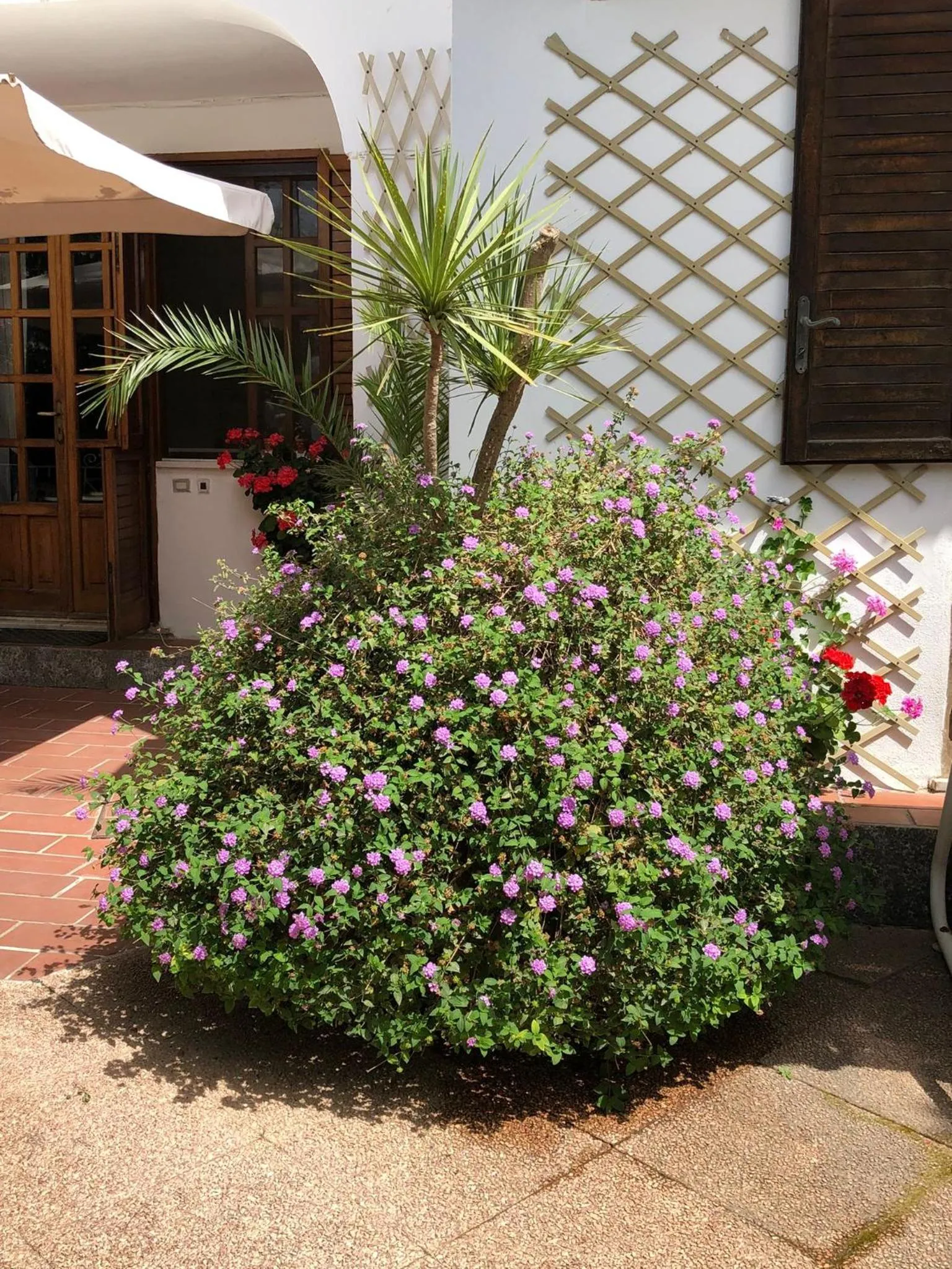 Garden in B&B Villa Anna Wunderbar