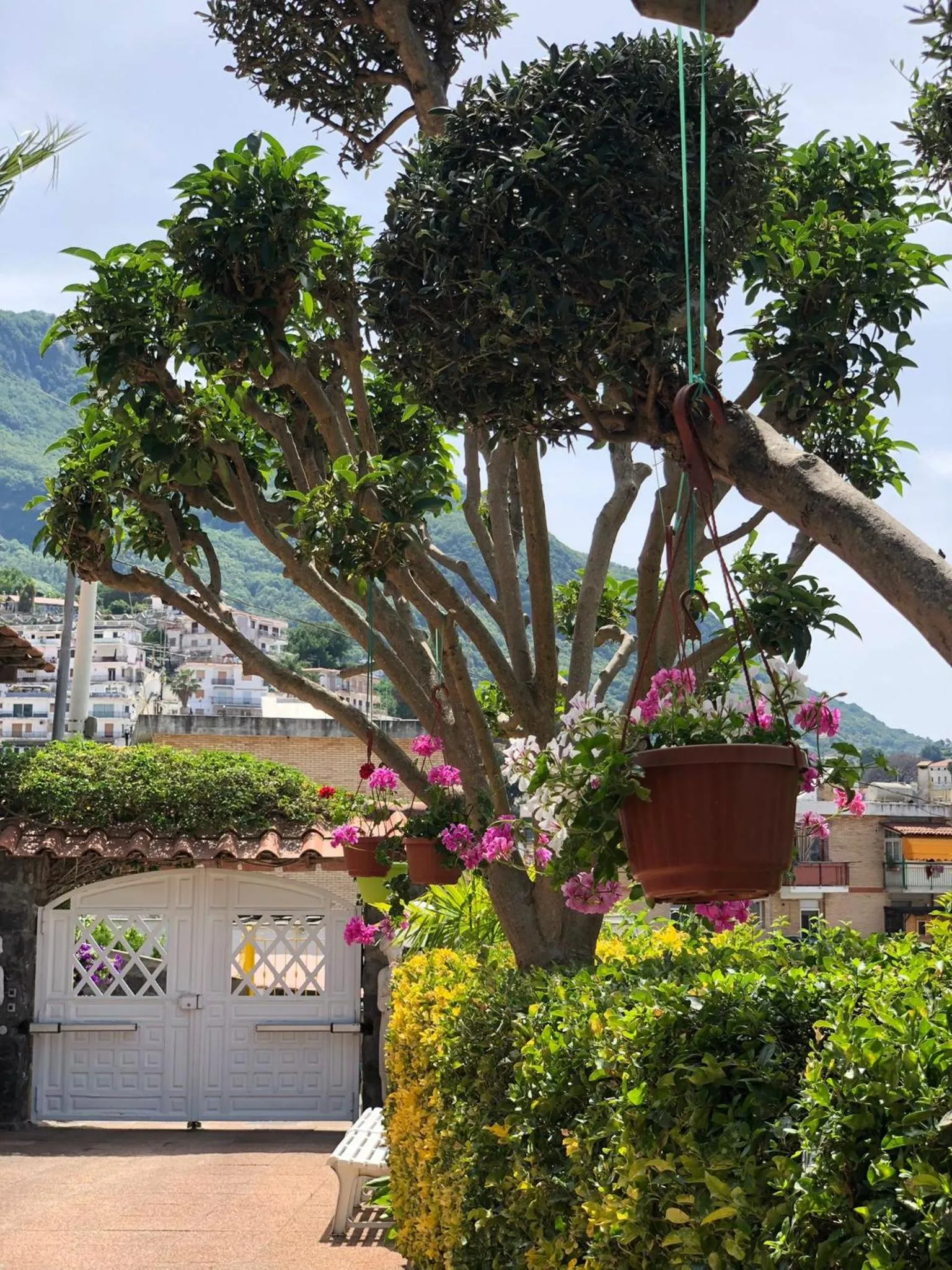 Garden in B&B Villa Anna Wunderbar