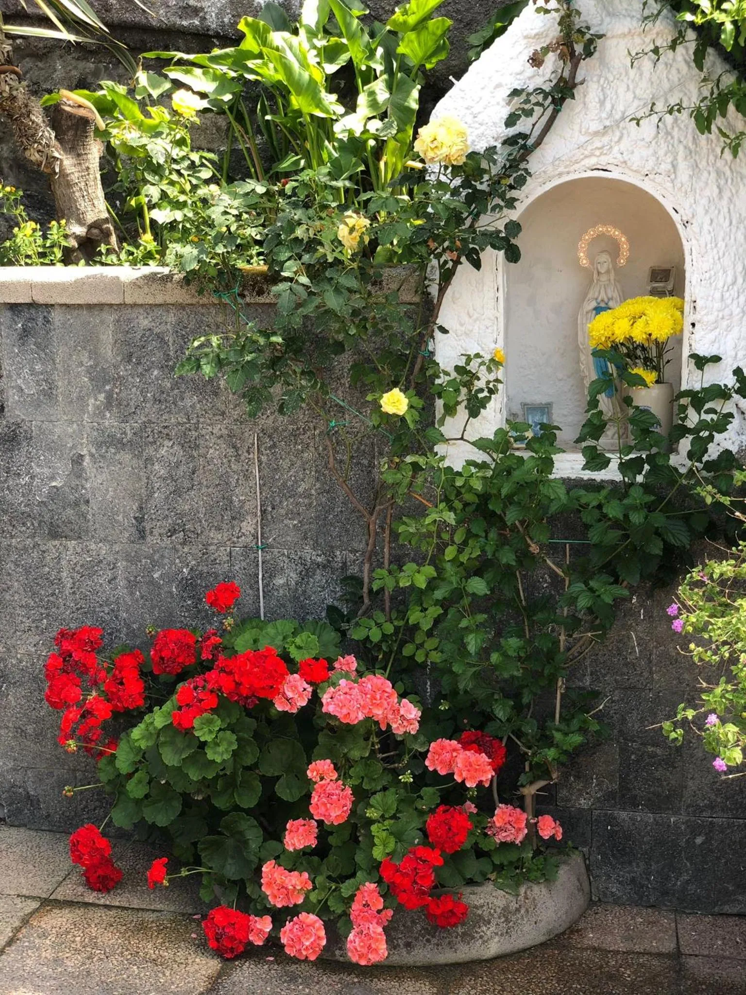 Garden in B&B Villa Anna Wunderbar