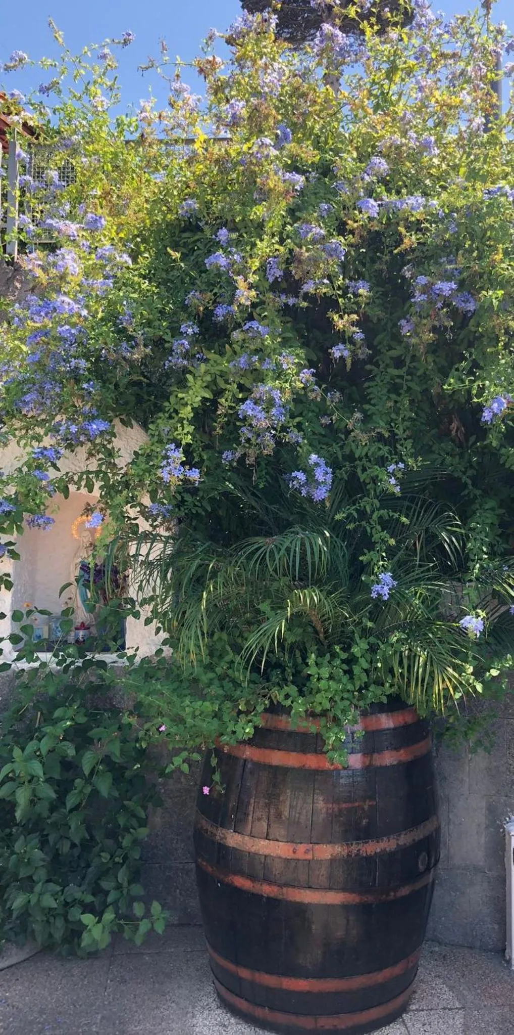 Garden in B&B Villa Anna Wunderbar