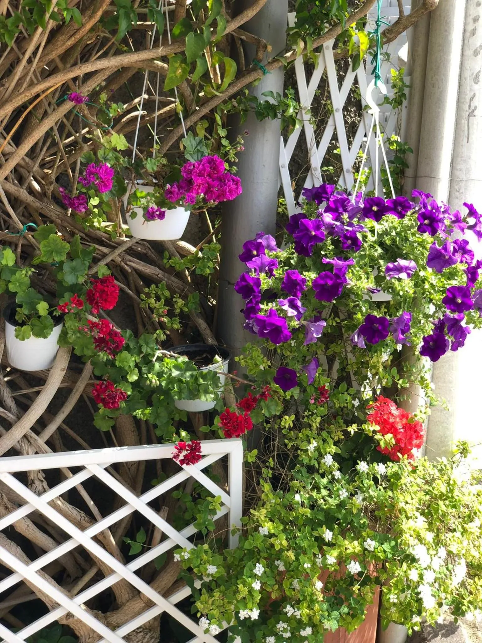 Garden in B&B Villa Anna Wunderbar