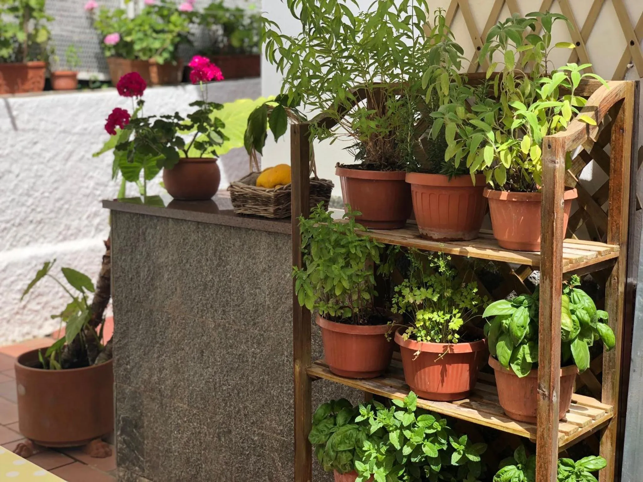 Balcony/Terrace in B&B Villa Anna Wunderbar