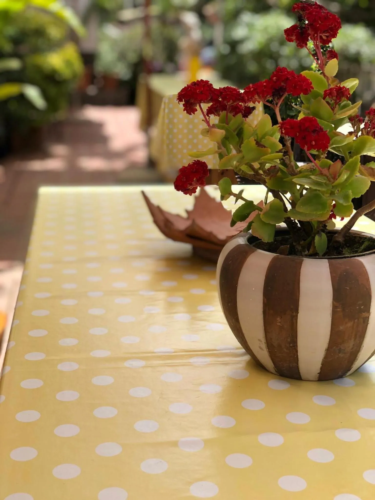 Balcony/Terrace in B&B Villa Anna Wunderbar