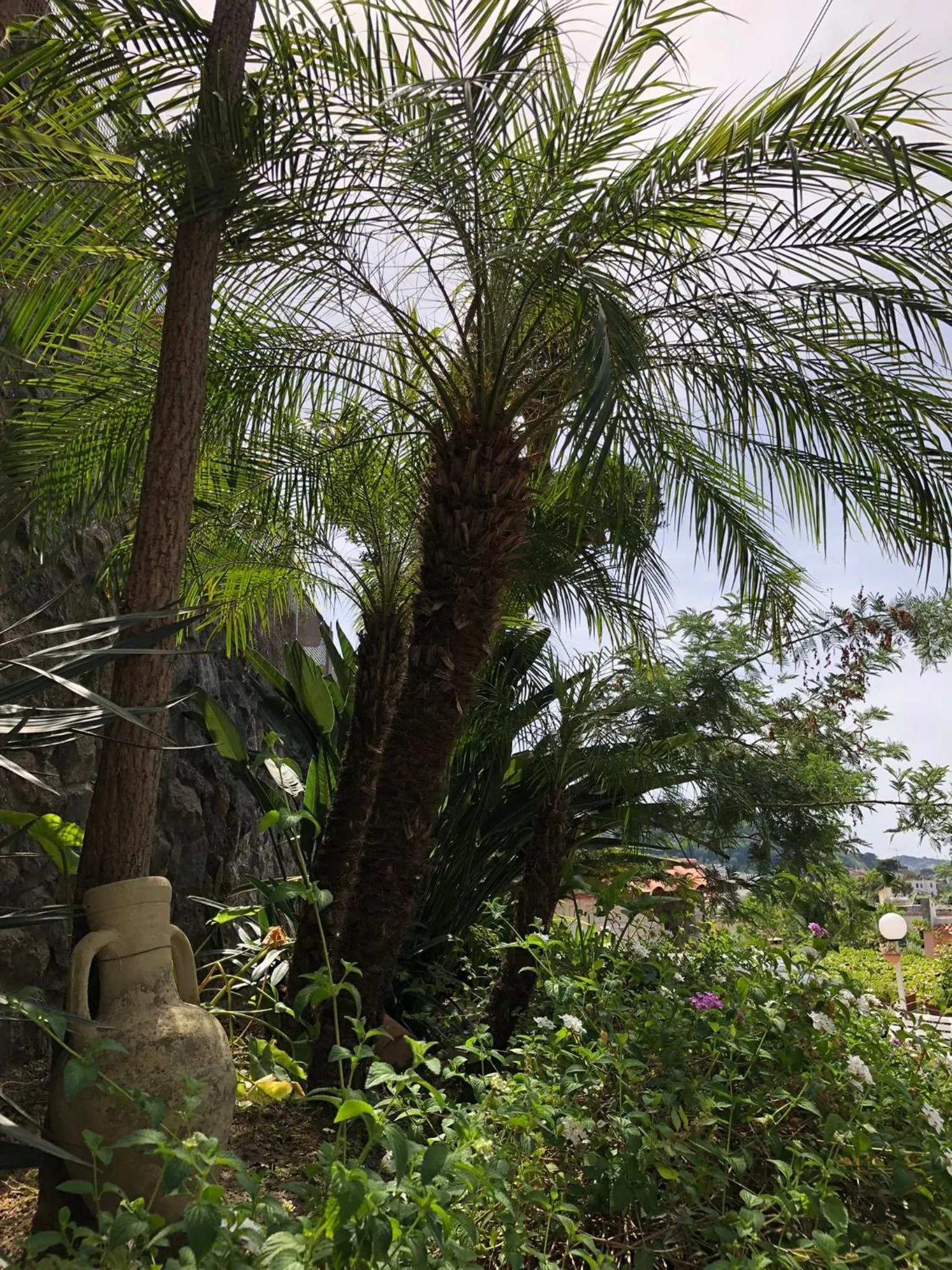 Garden in B&B Villa Anna Wunderbar