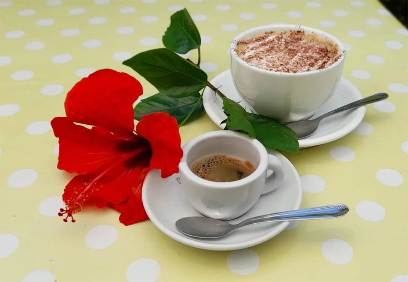 Balcony/Terrace in B&B Villa Anna Wunderbar