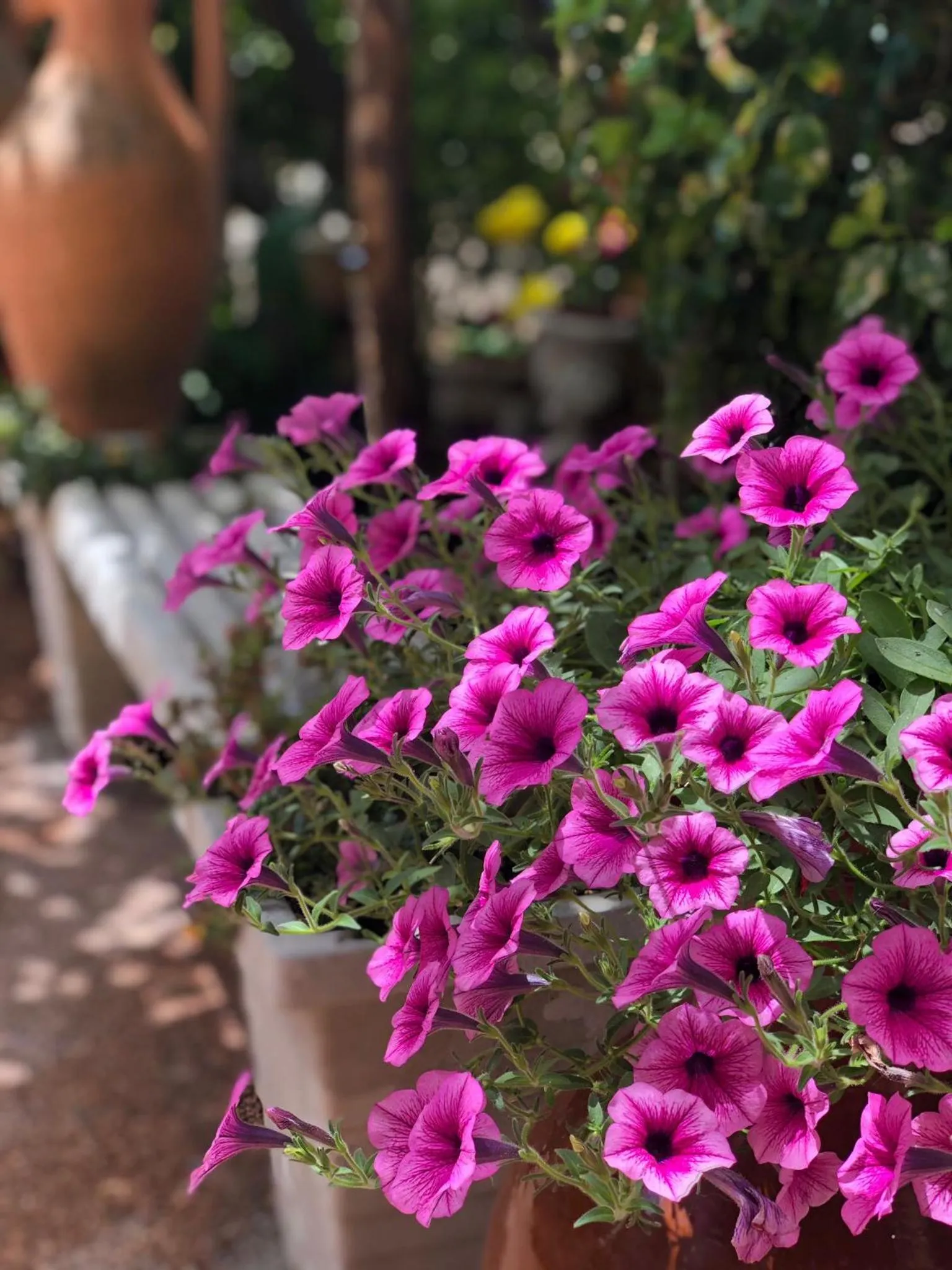 Garden in B&B Villa Anna Wunderbar