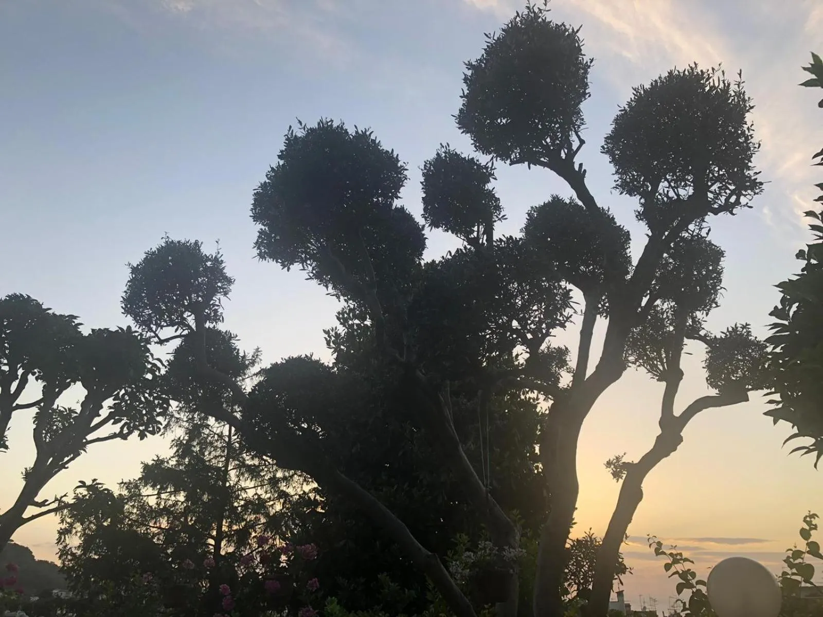 Garden in B&B Villa Anna Wunderbar