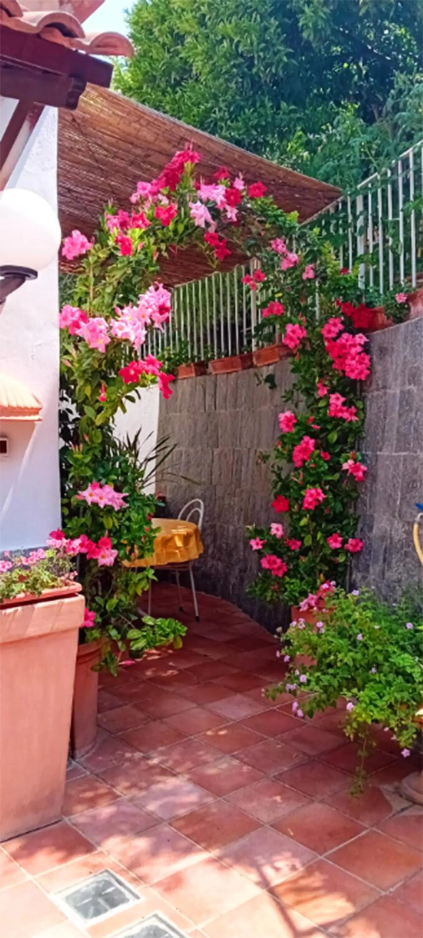 Garden in B&B Villa Anna Wunderbar