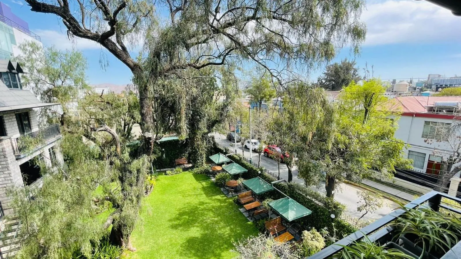Garden view in Hotel Casagrande