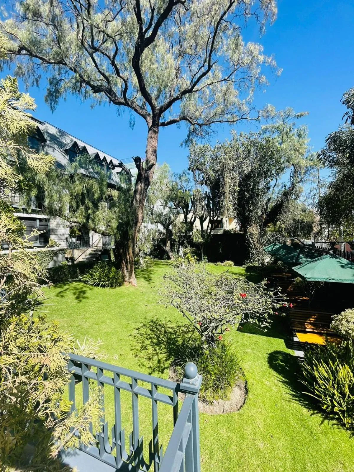 Garden in Hotel Casagrande