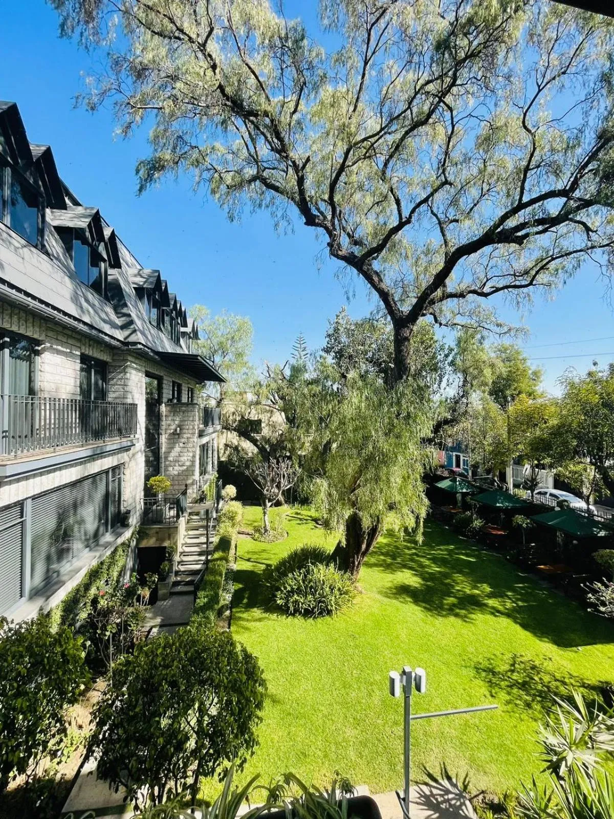 Garden in Hotel Casagrande