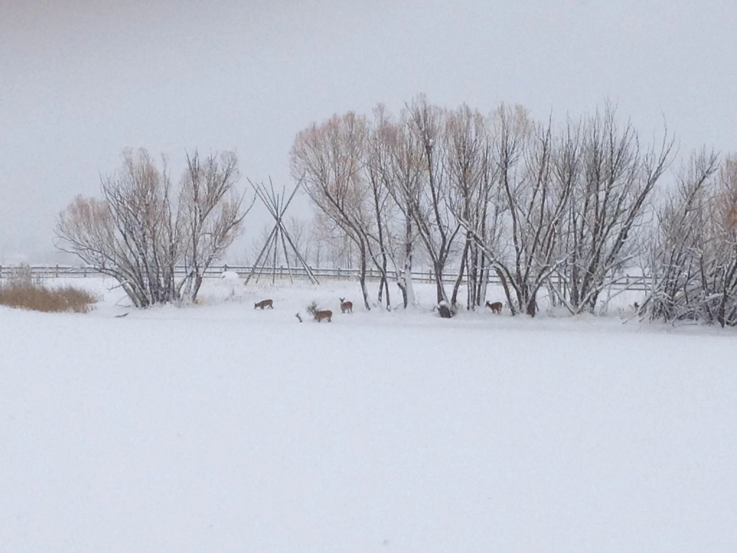 Winter in Ninepipes Lodge