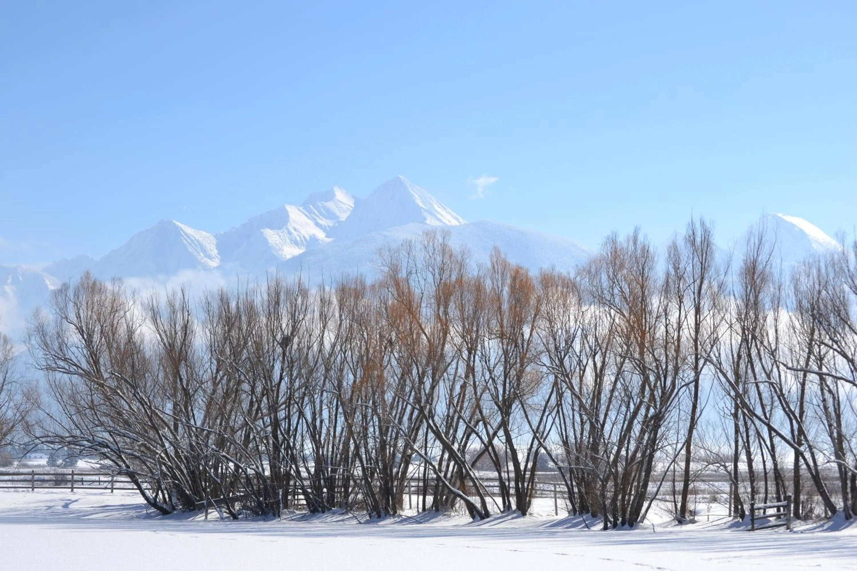 Winter in Ninepipes Lodge