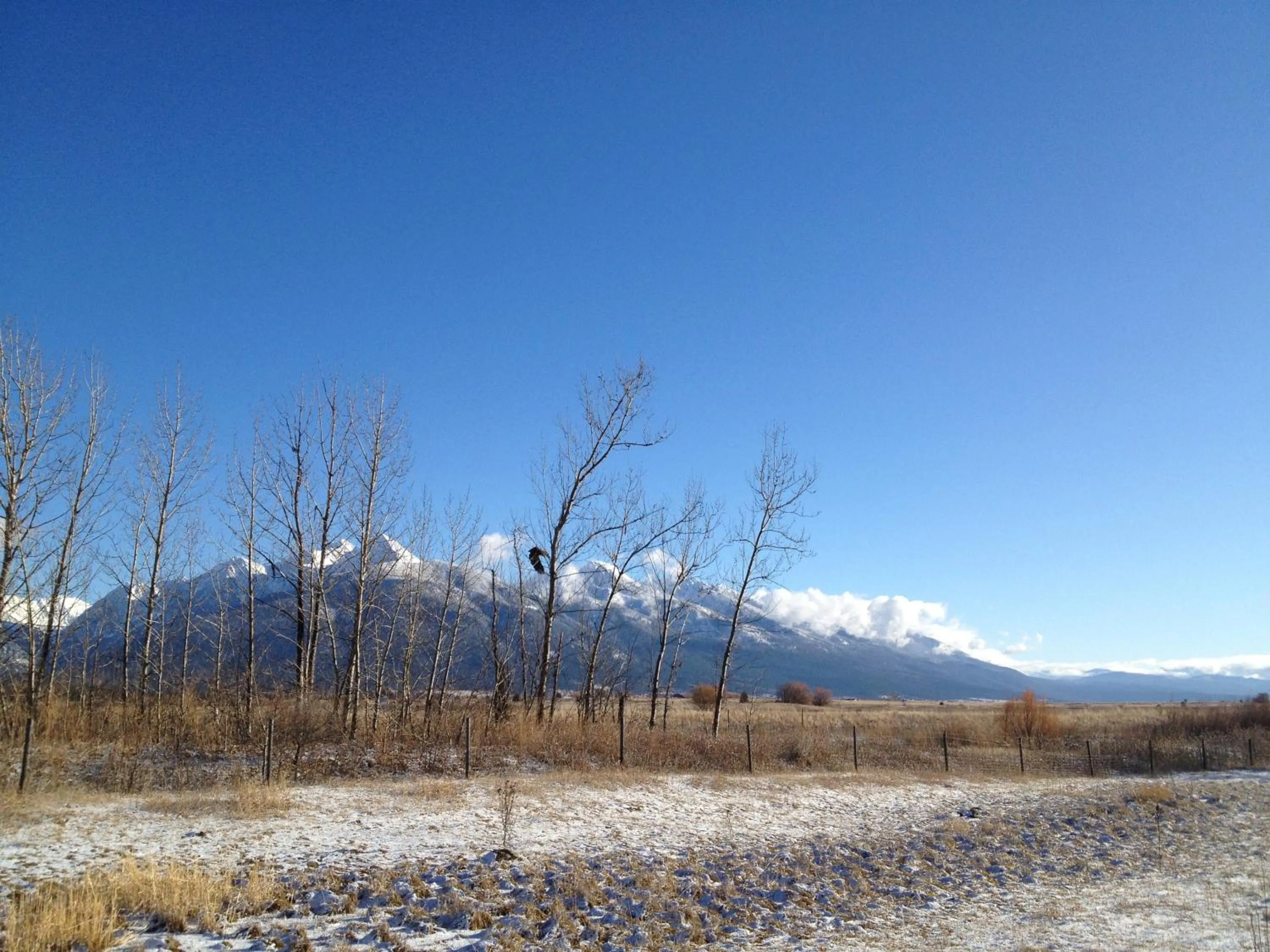 Other in Ninepipes Lodge