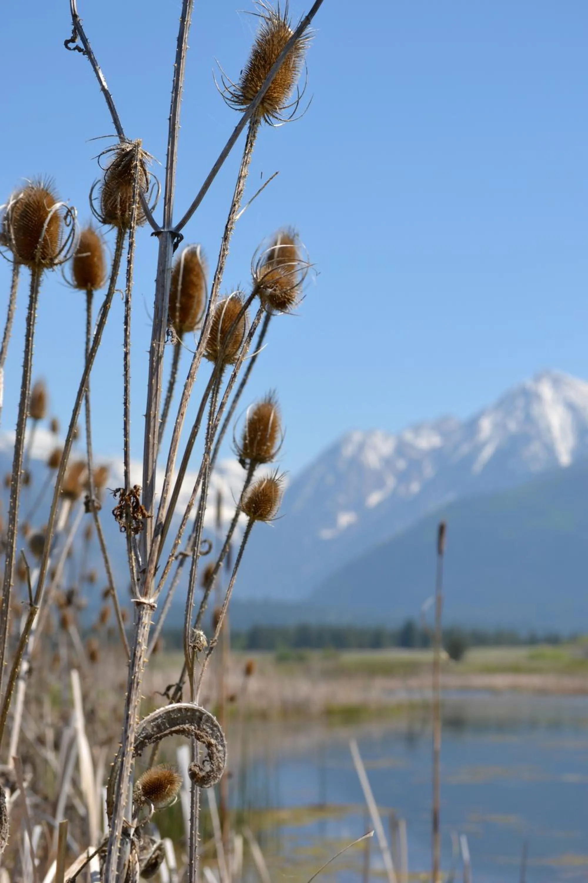 Other in Ninepipes Lodge