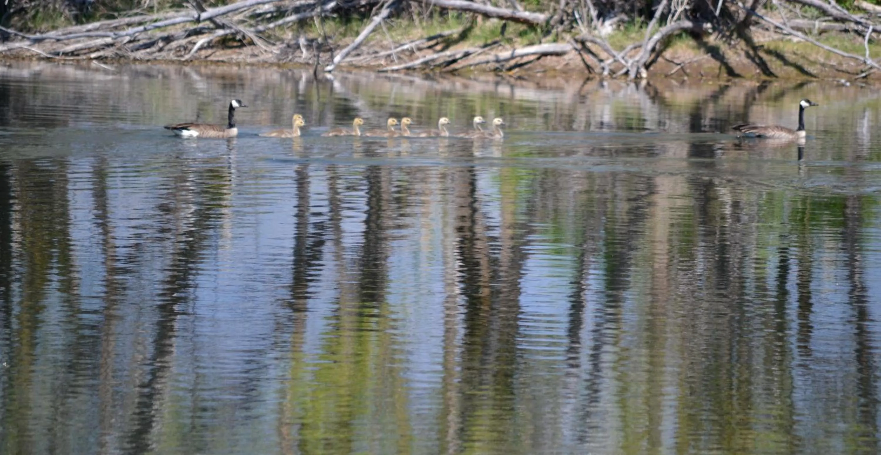 Other in Ninepipes Lodge