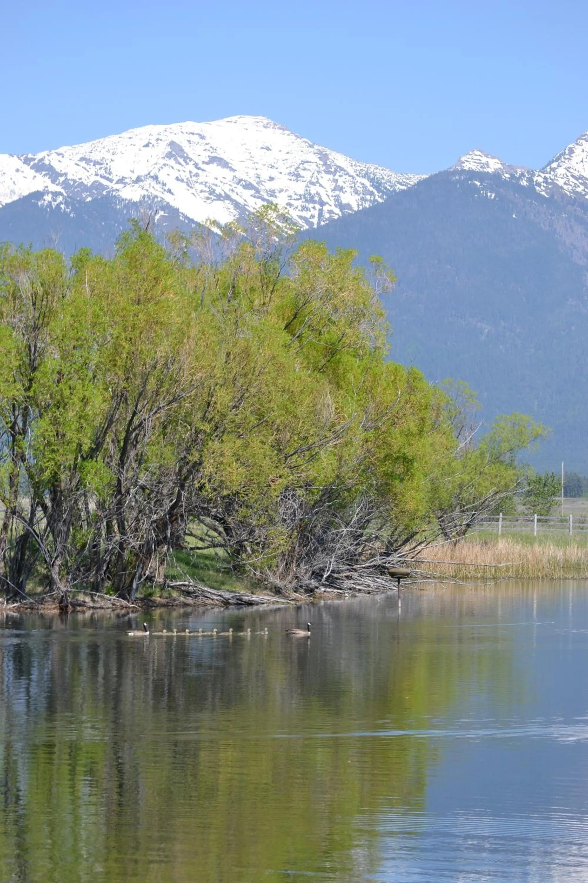 Other in Ninepipes Lodge