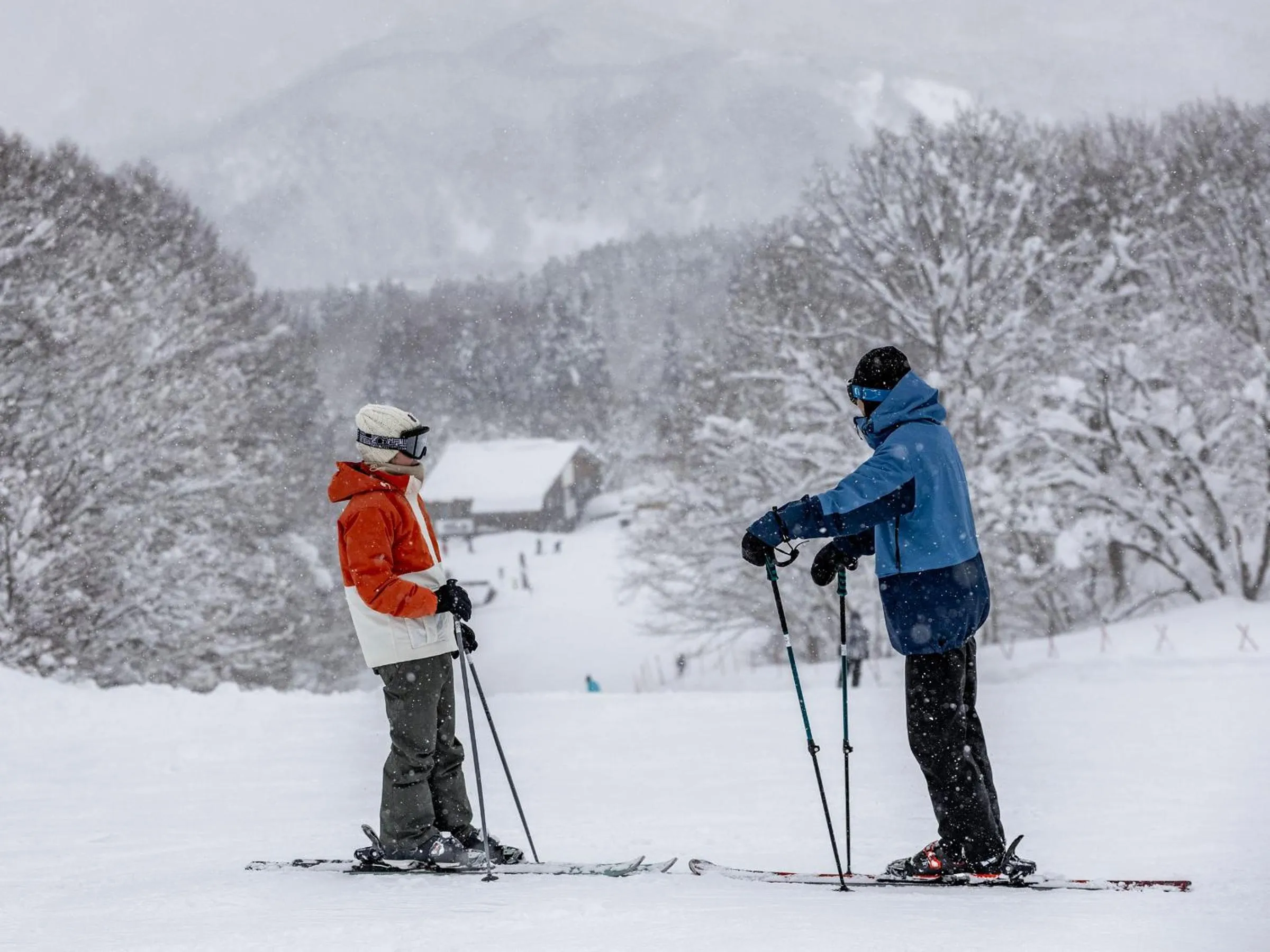 Skiing in Hotel Alpen Blick
