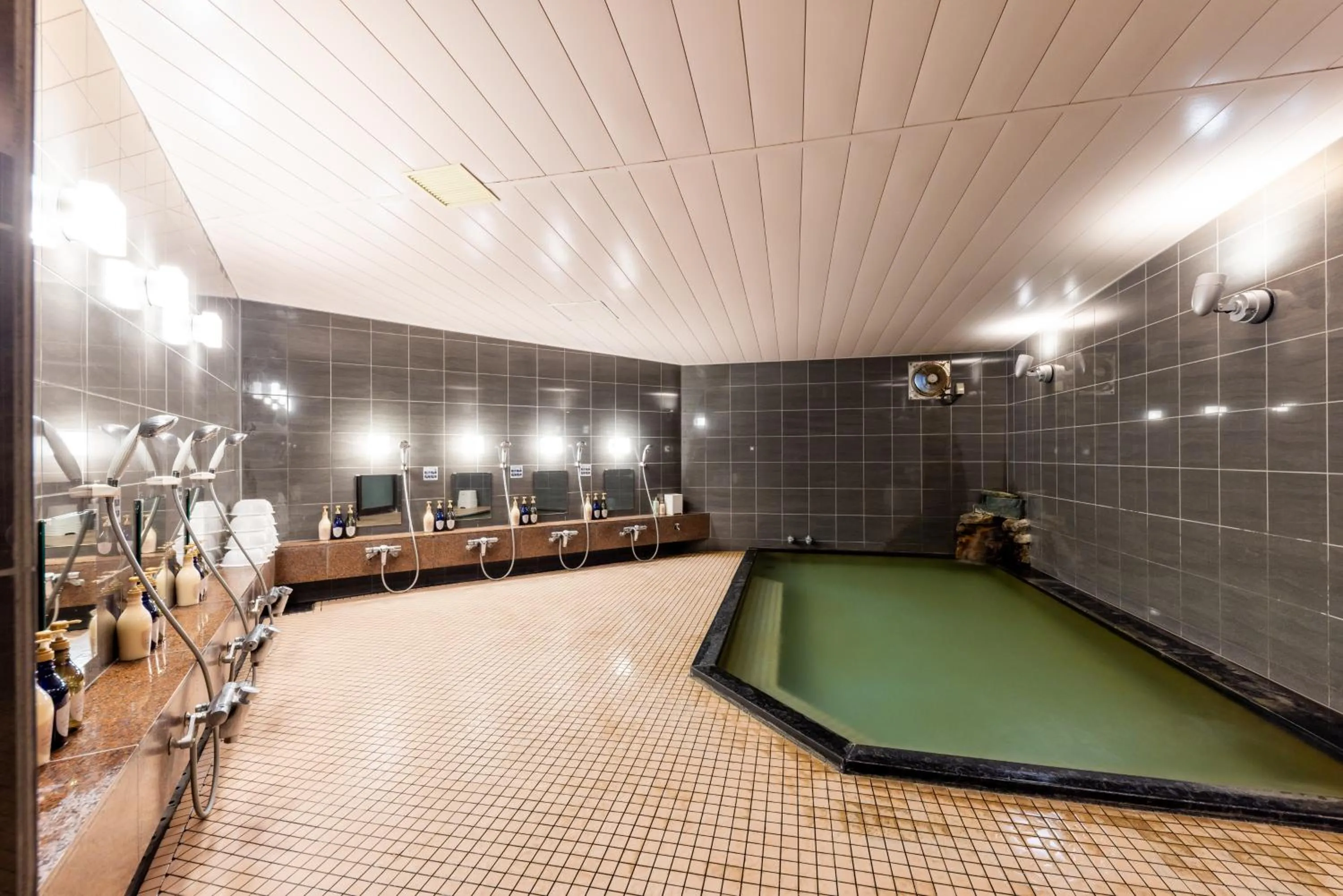 Hot Spring Bath in Hotel Alpen Blick