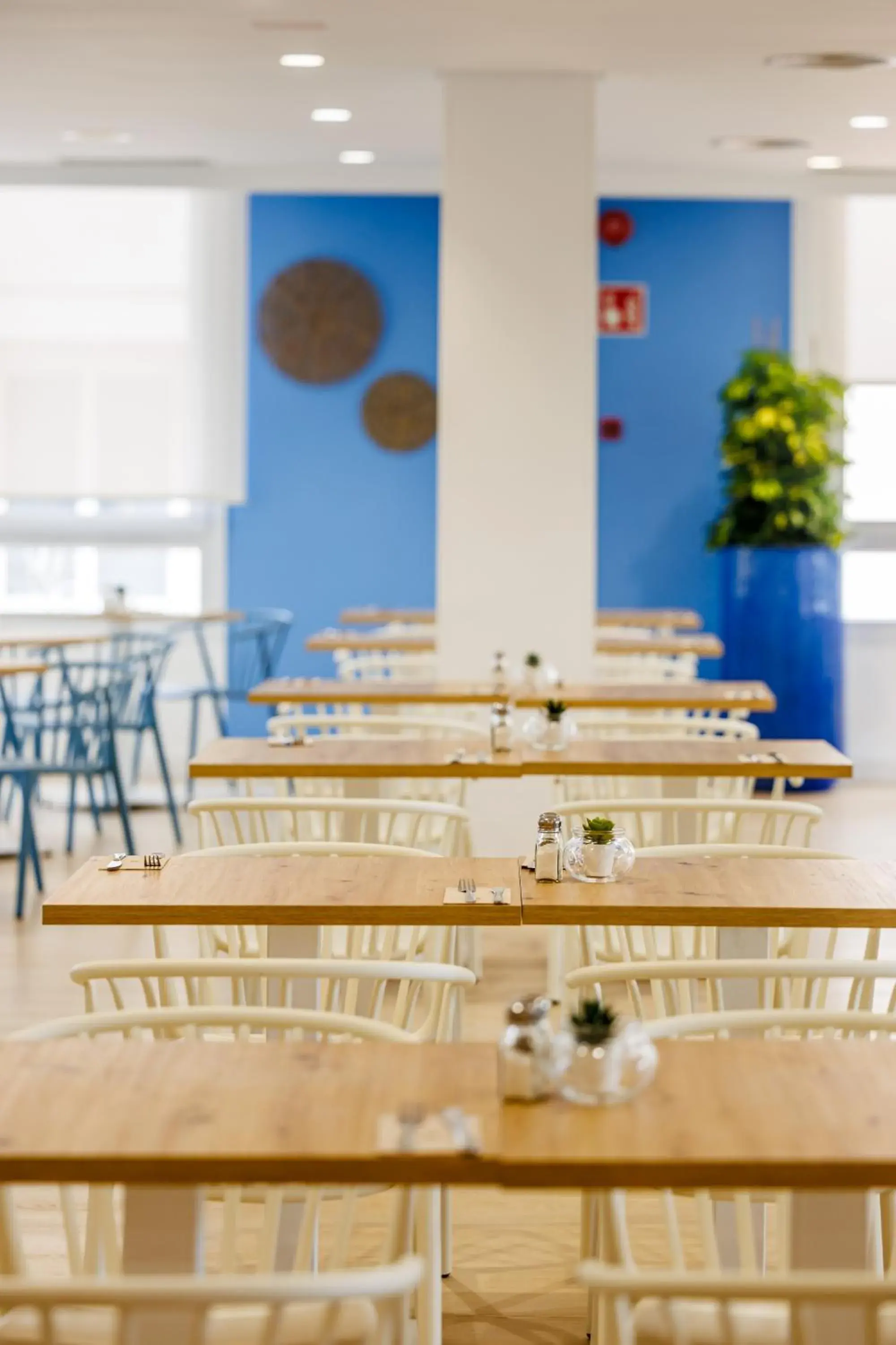 Restaurant/places to eat in O7 Club Cala Ratjada Restaurant/places to eat in O7 Club Cala Ratjada