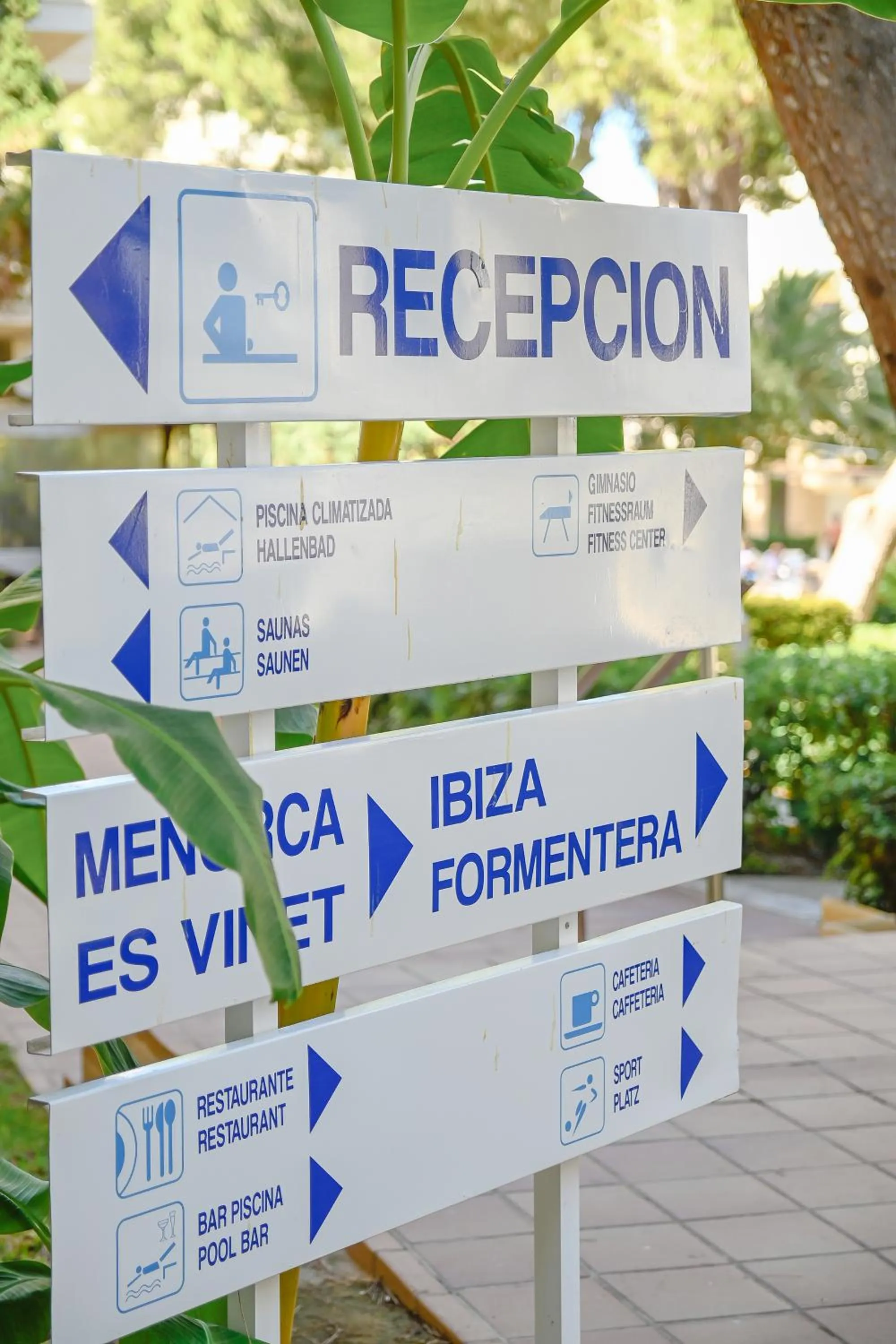 Lobby or reception in O7 Club Cala Ratjada