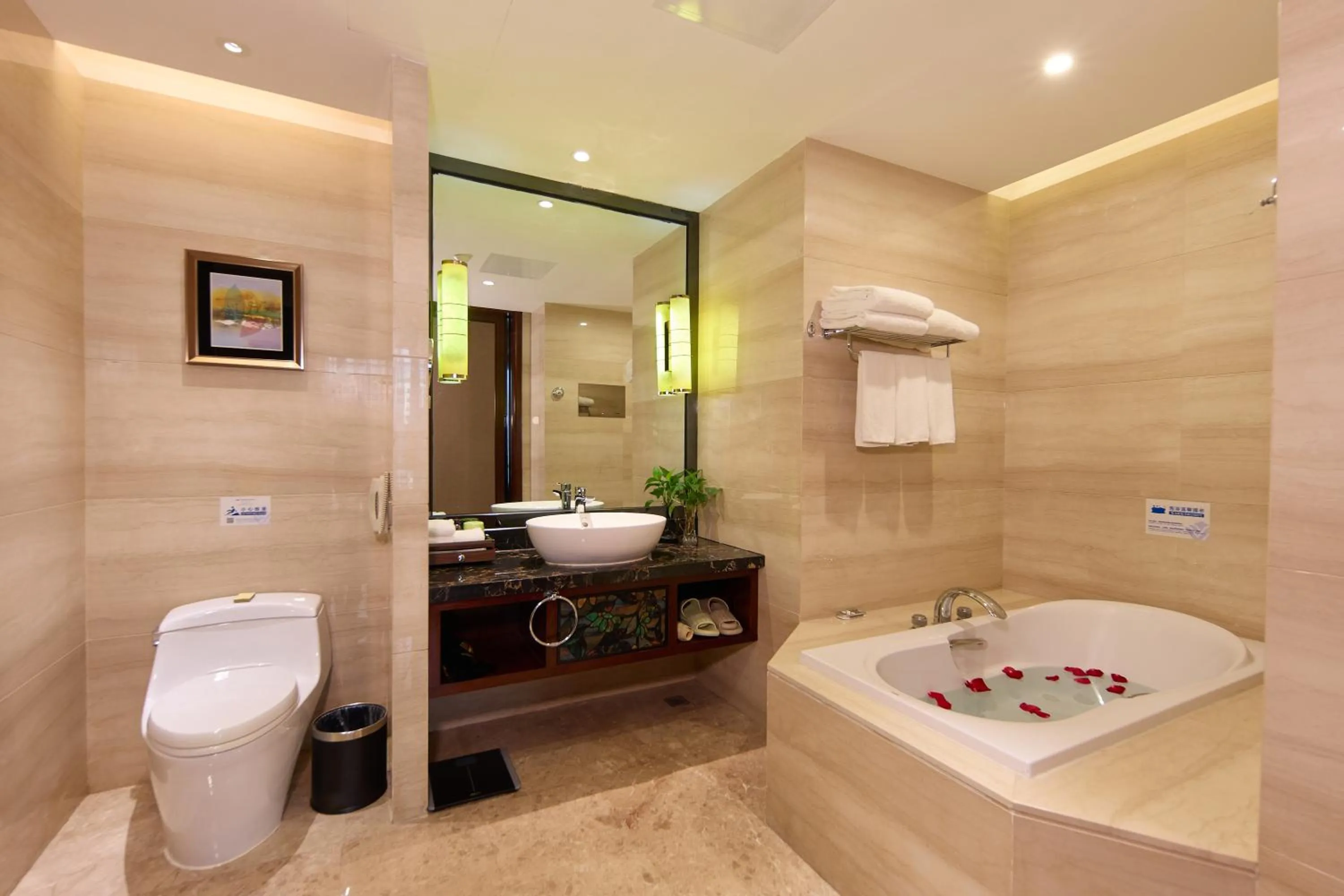 Toilet in Wyndham Grand Plaza Royale Chenzhou
