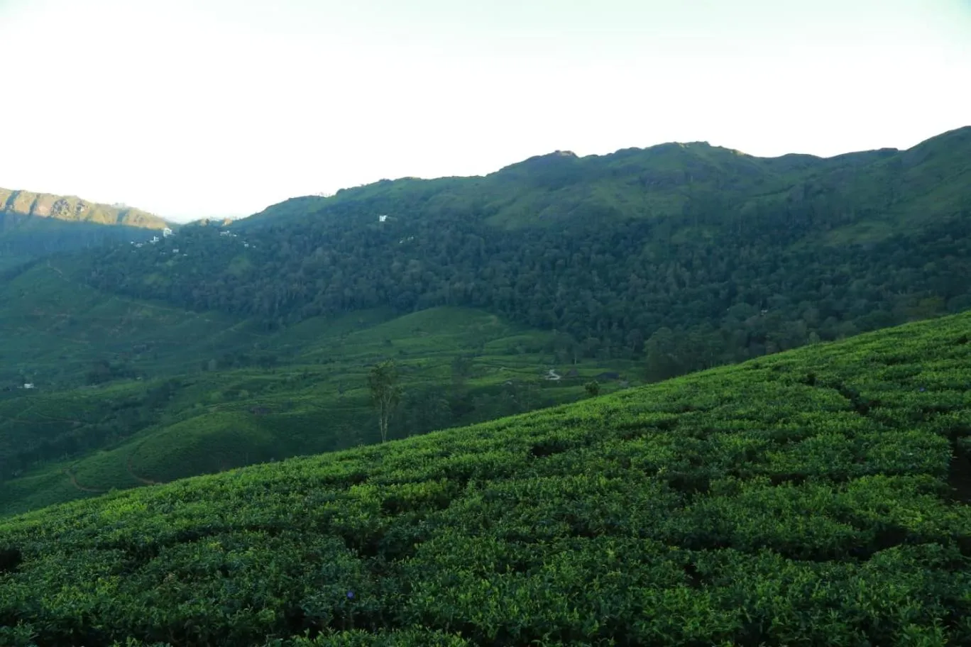 The Nirvana Resort Munnar