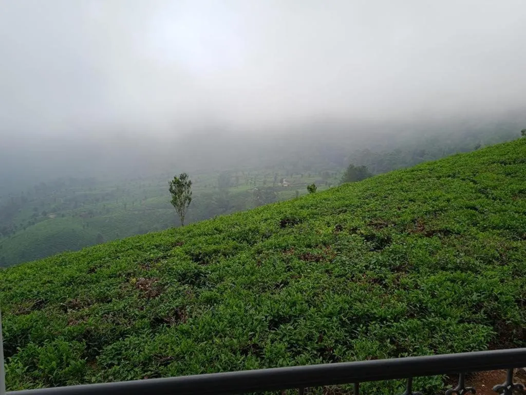 The Nirvana Resort Munnar