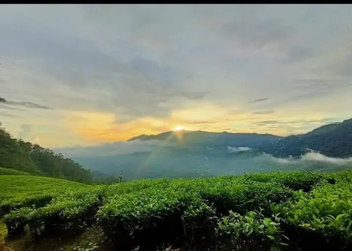 The Nirvana Resort Munnar