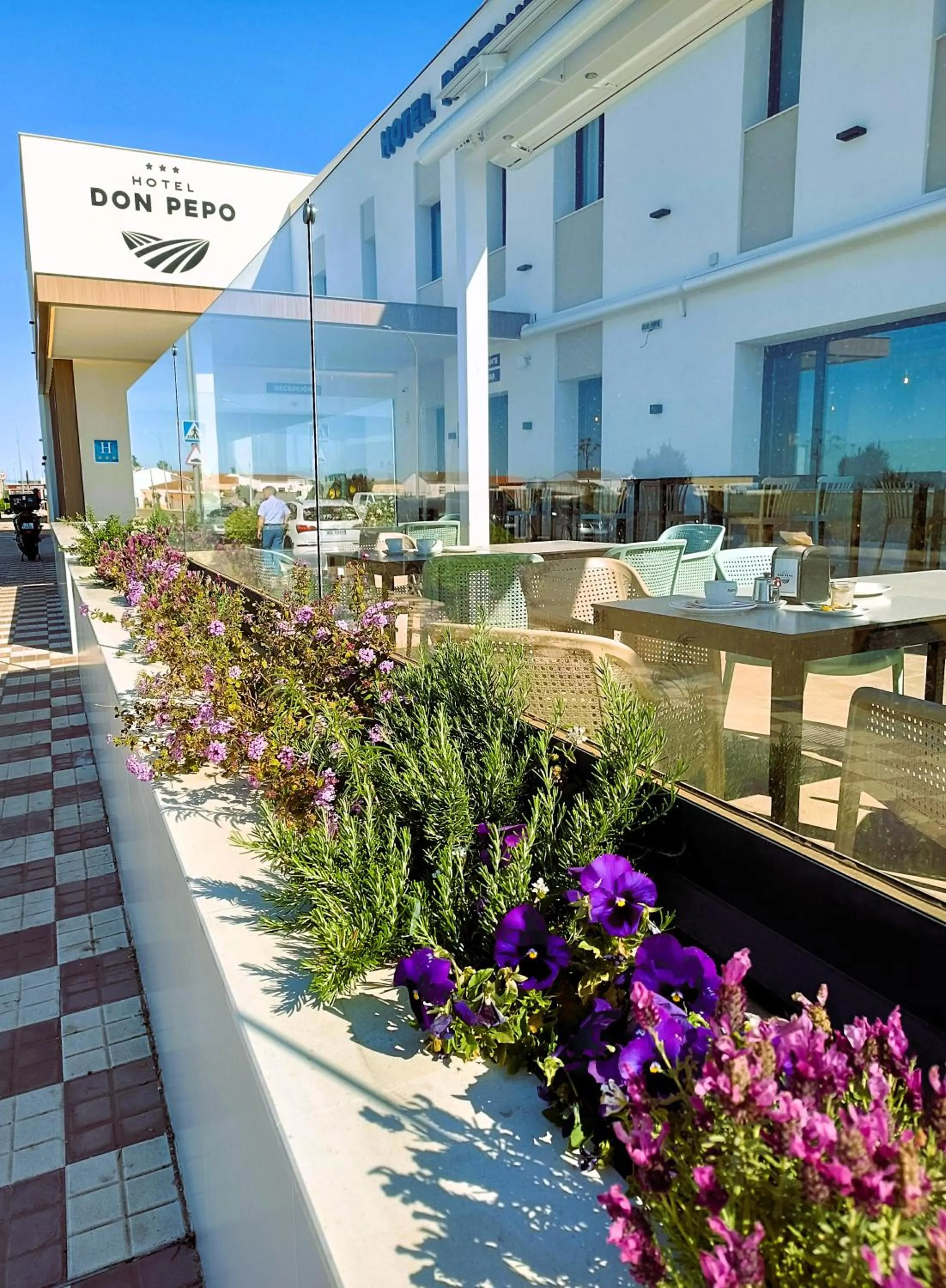 Property building in Hotel Don Pepo