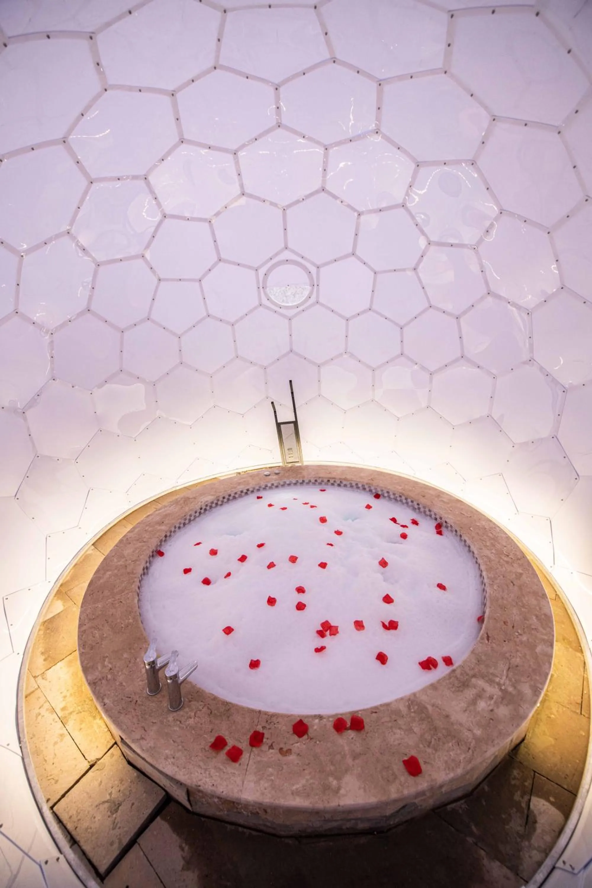 Garden in Ahiyan Hotel