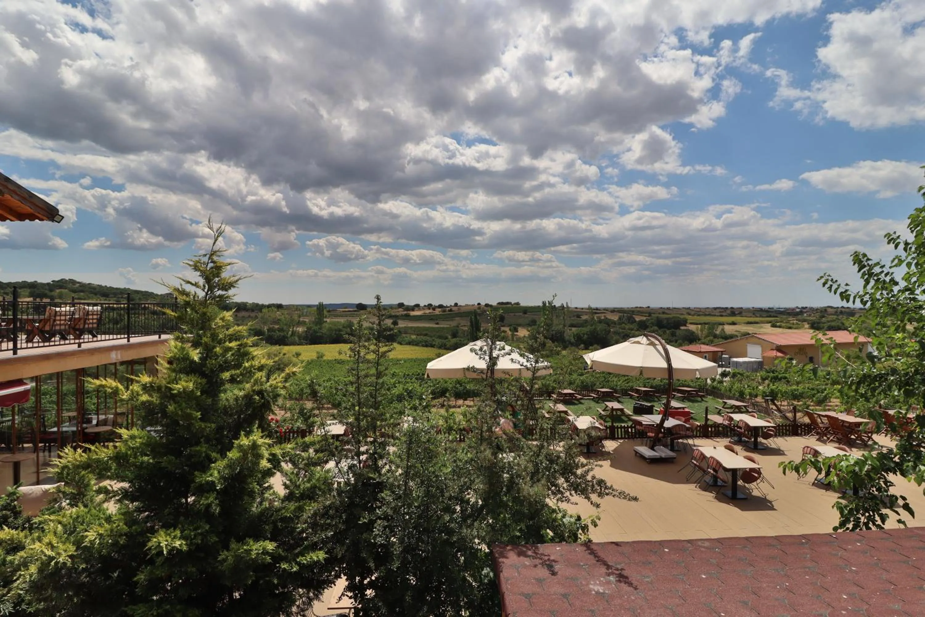 View (from property/room) in Dessera Vineyards Hotel
