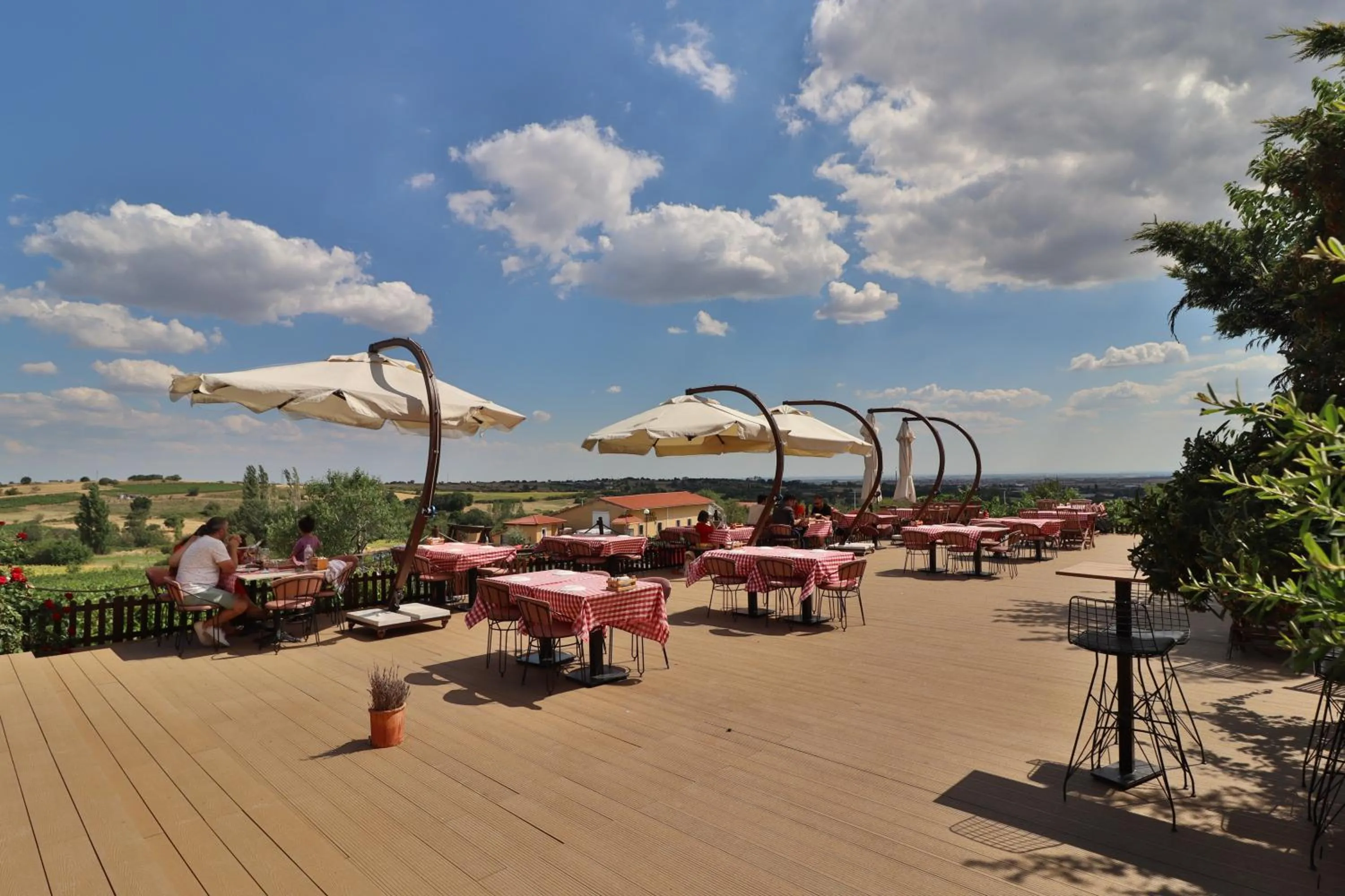 Restaurant/places to eat in Dessera Vineyards Hotel